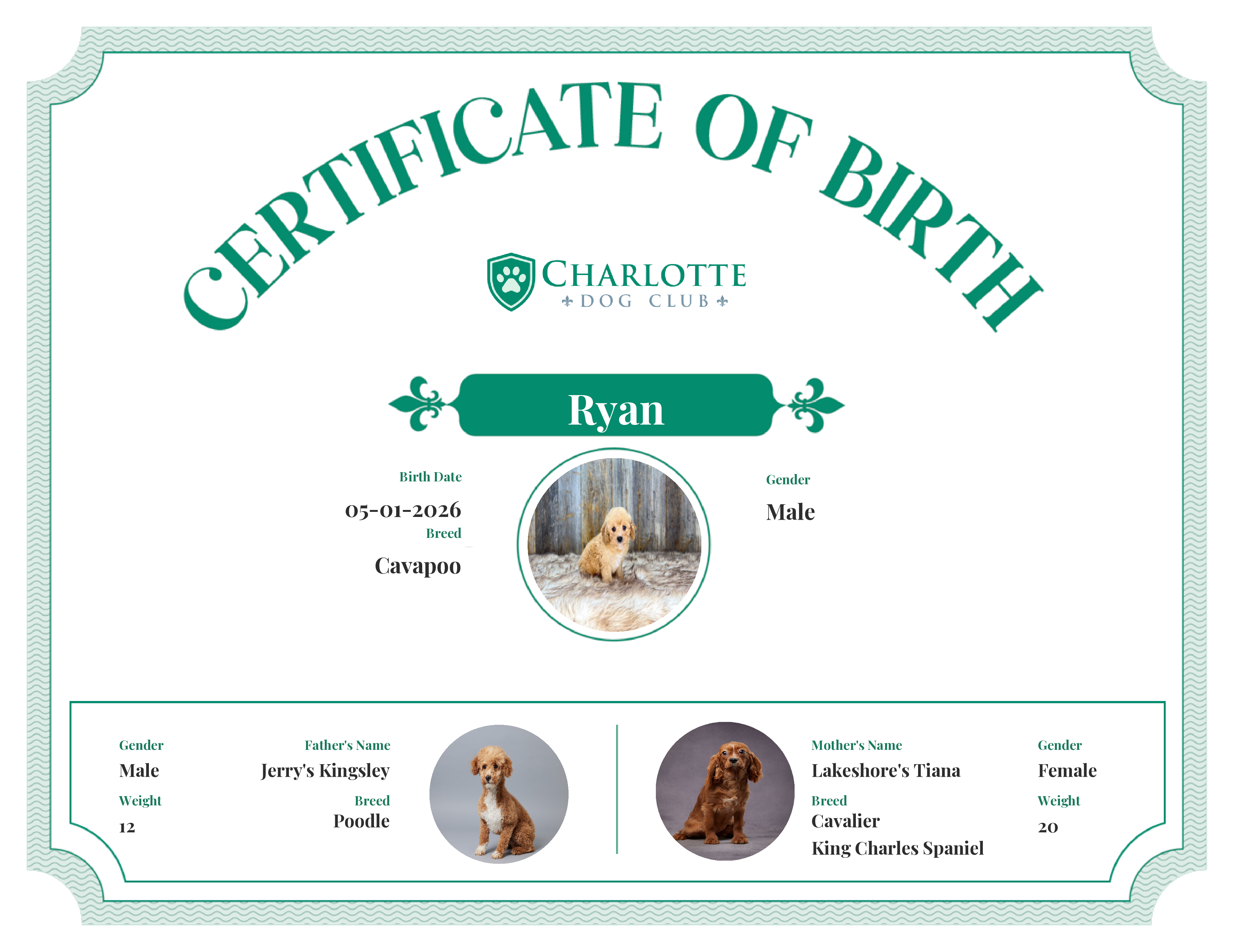 Ryan's Birth Certificate