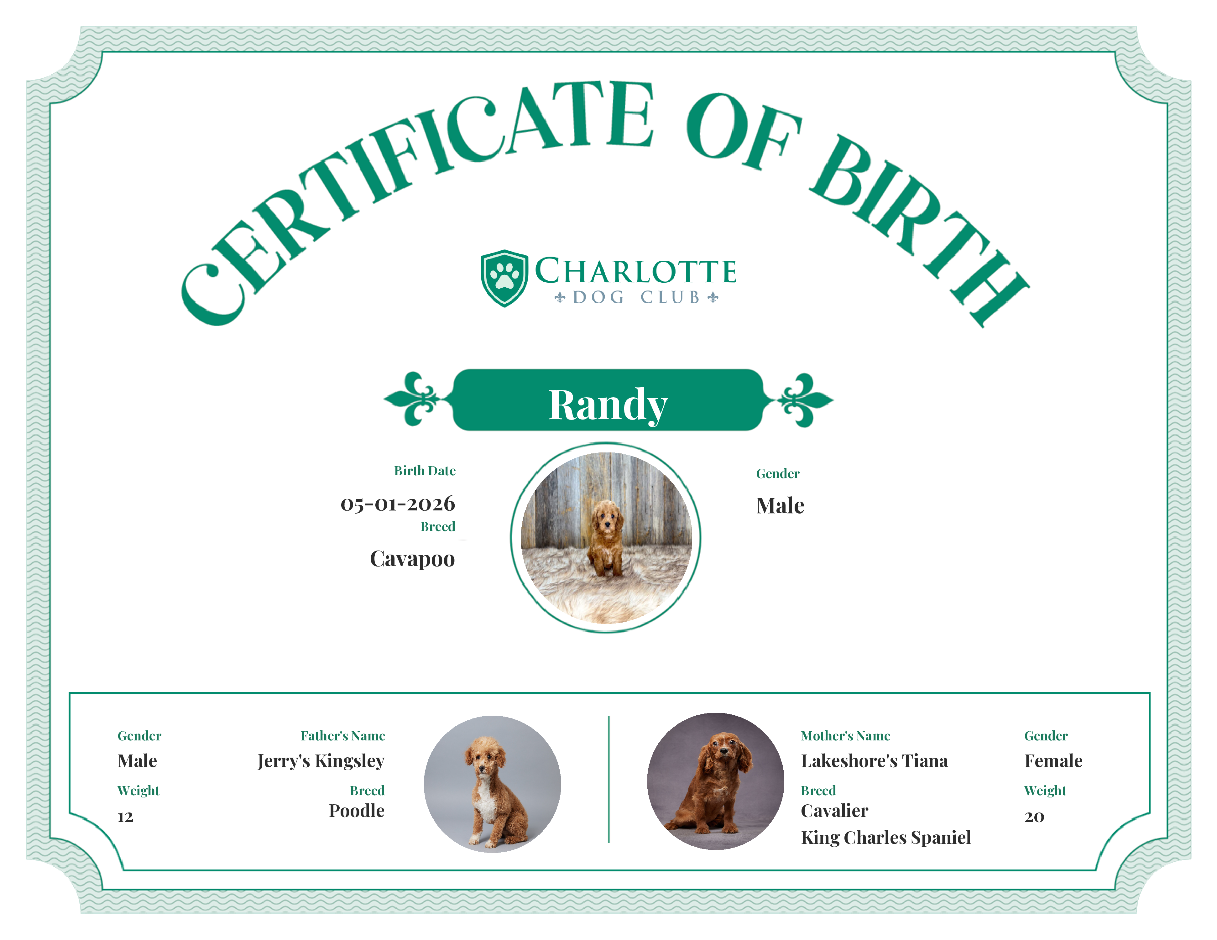 Randy's Birth Certificate