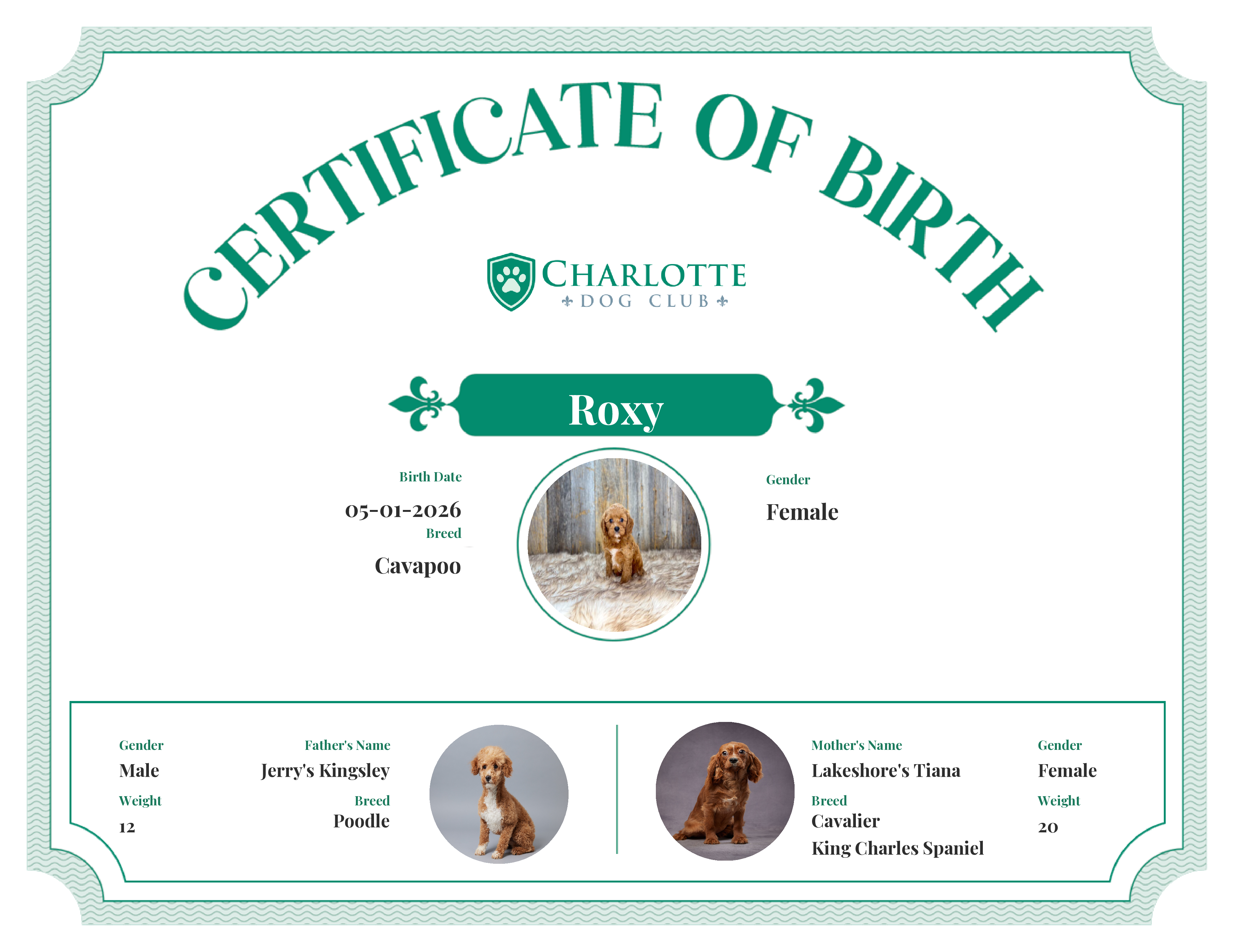 Roxy's Birth Certificate