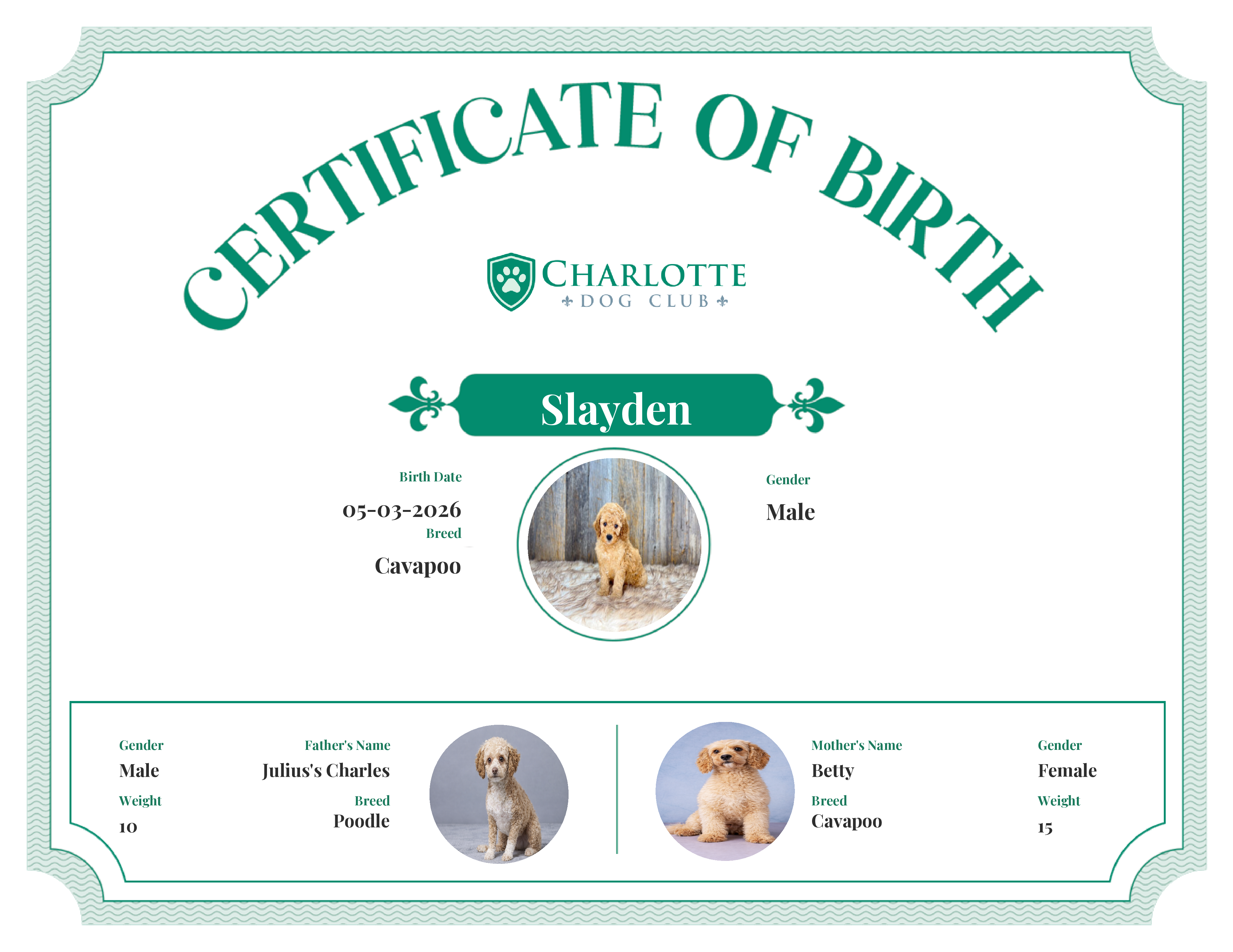 Slayden's Birth Certificate