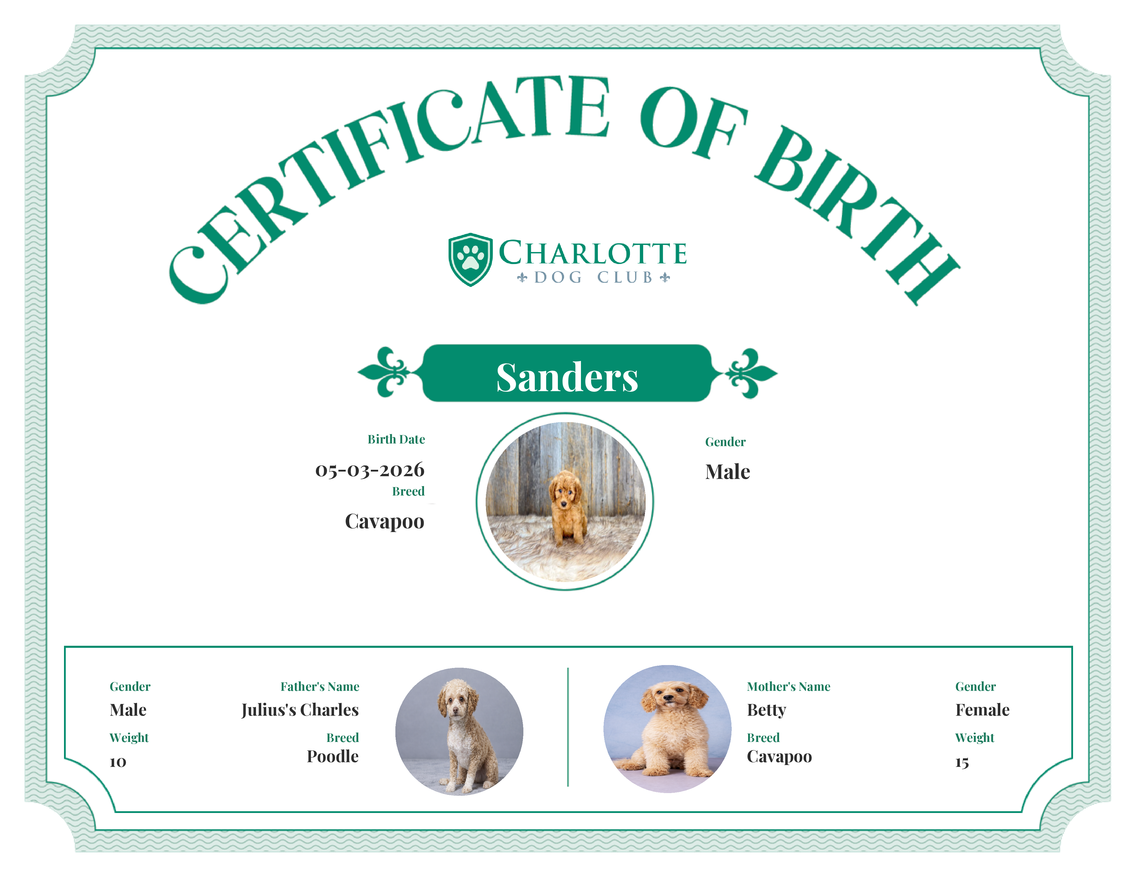 Sanders's Birth Certificate