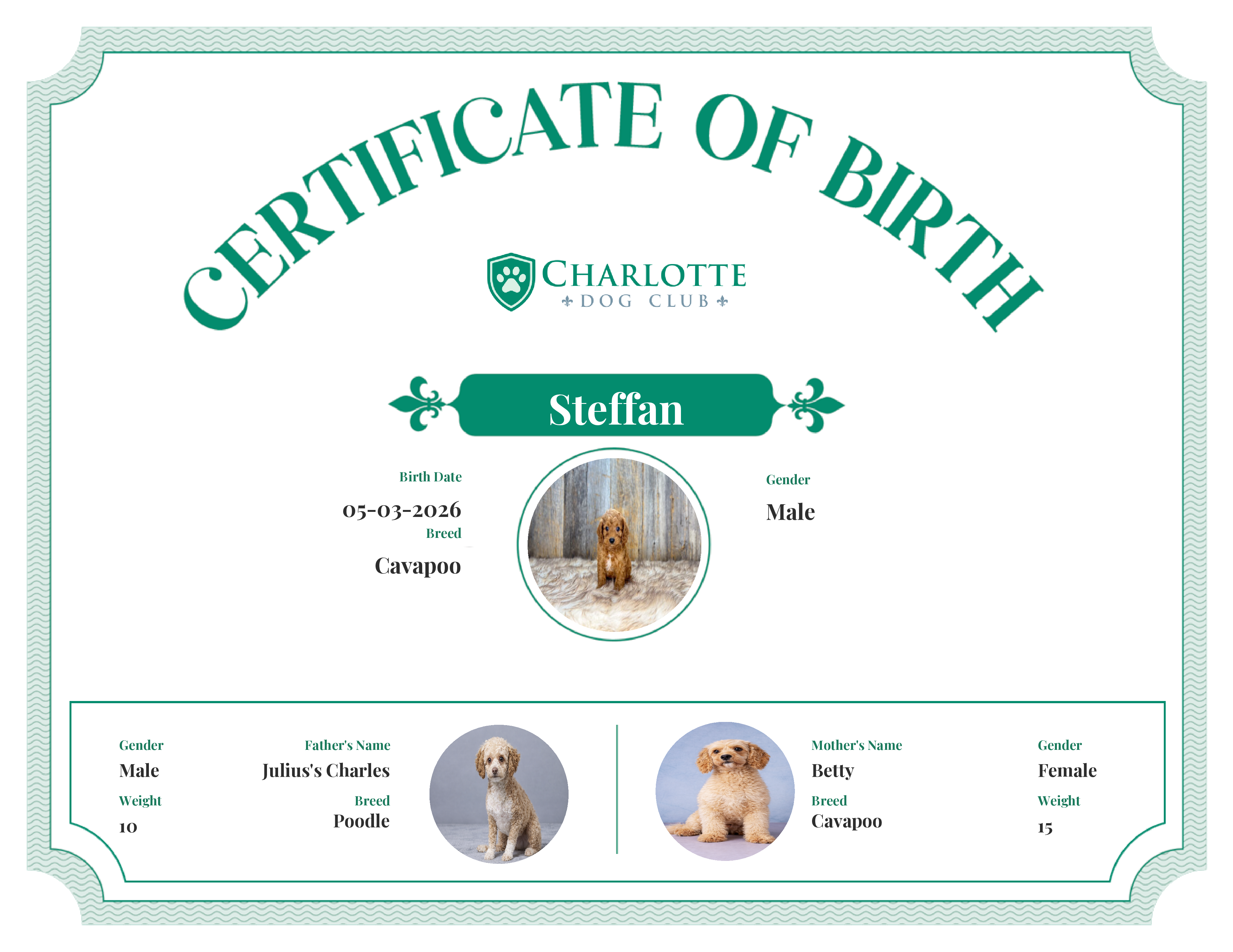 Steffan's Birth Certificate