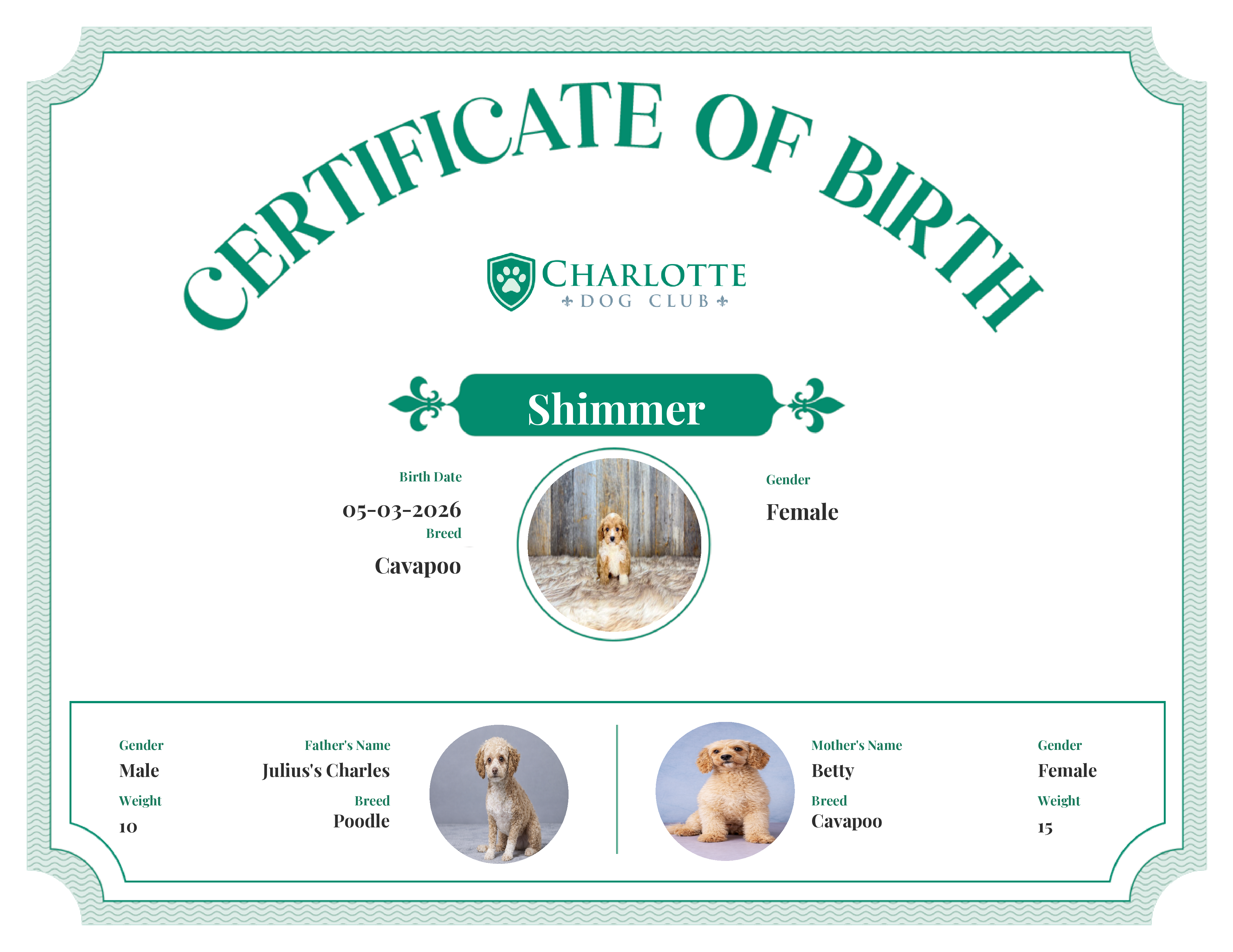 Shimmer's Birth Certificate