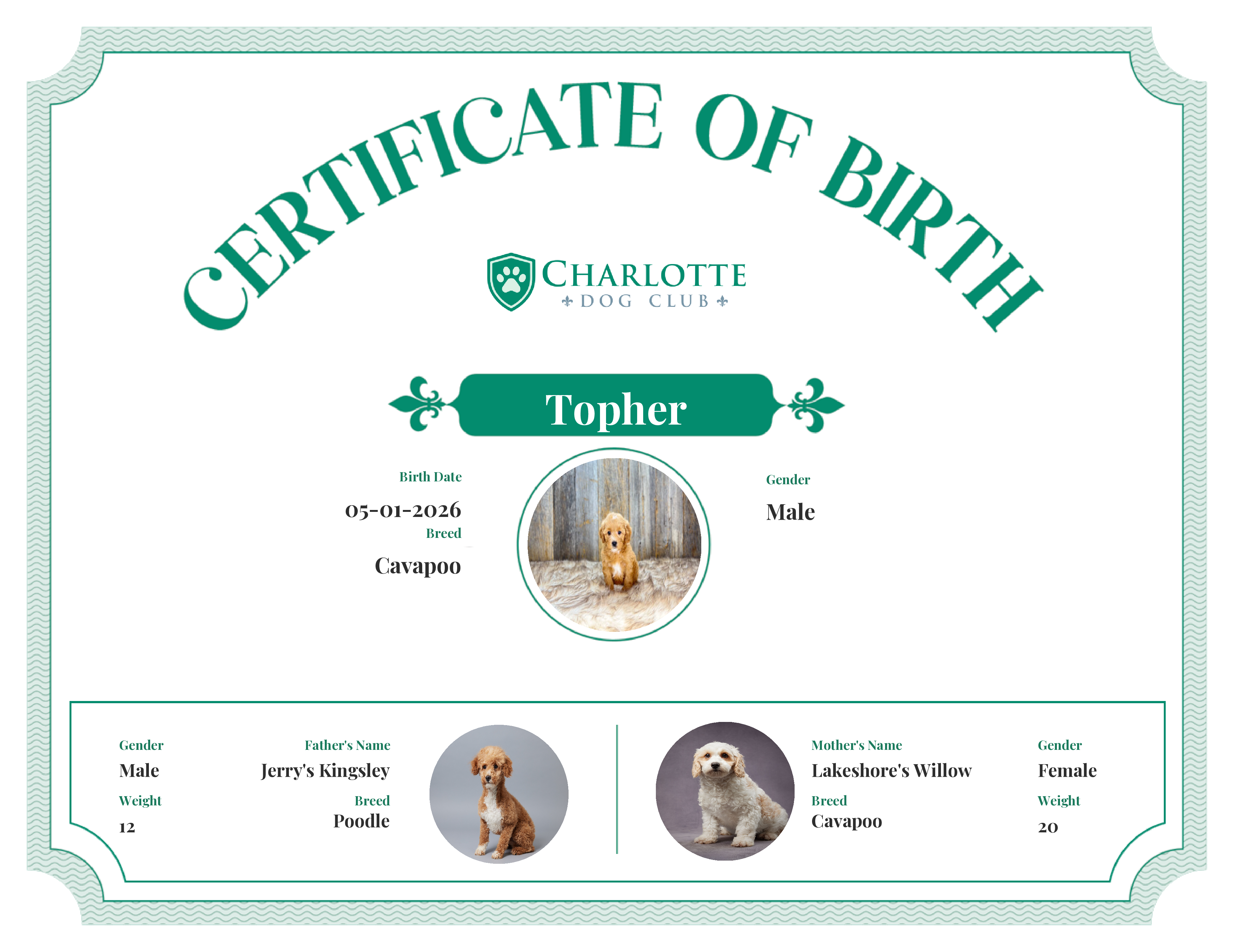 Topher's Birth Certificate