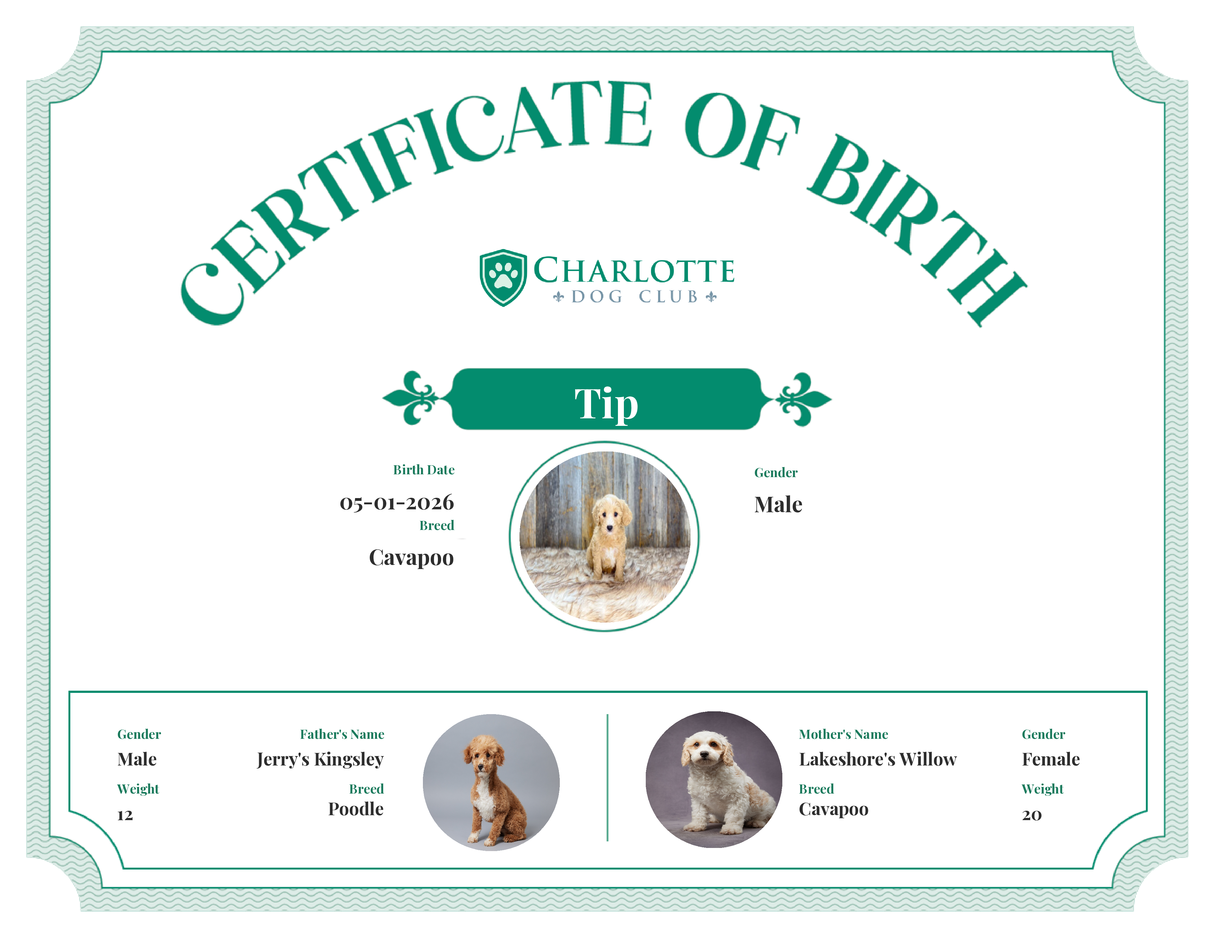 Tip's Birth Certificate