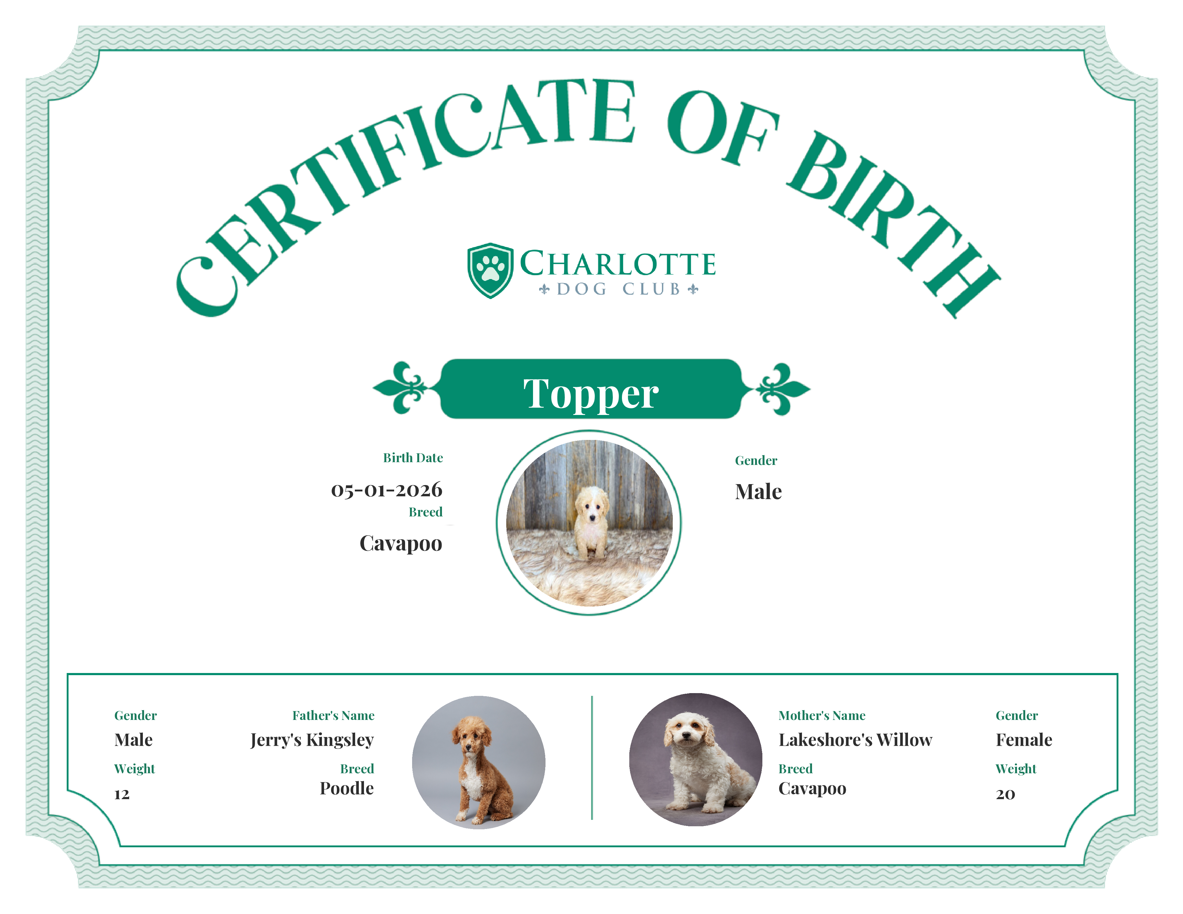 Topper's Birth Certificate