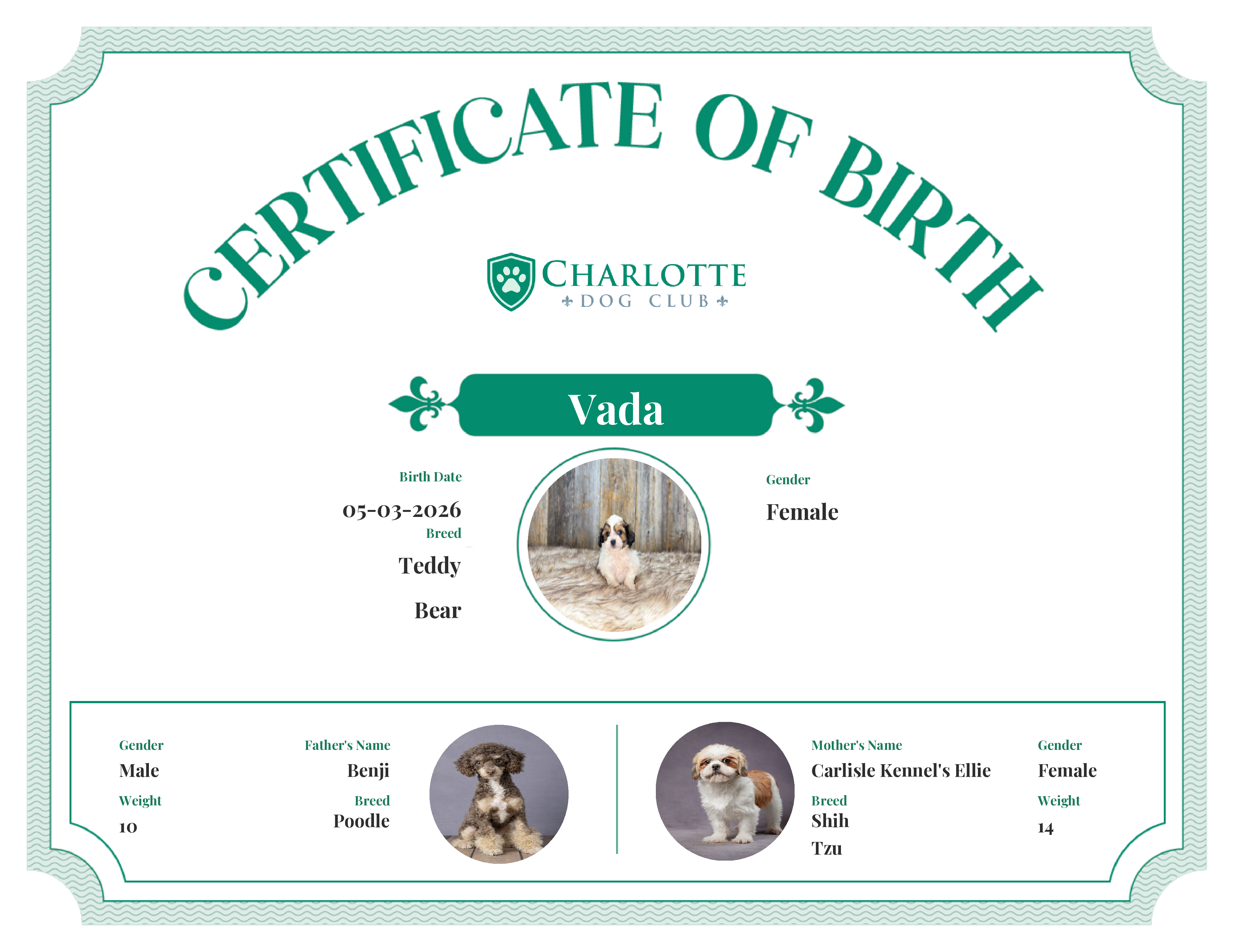 Vada's Birth Certificate