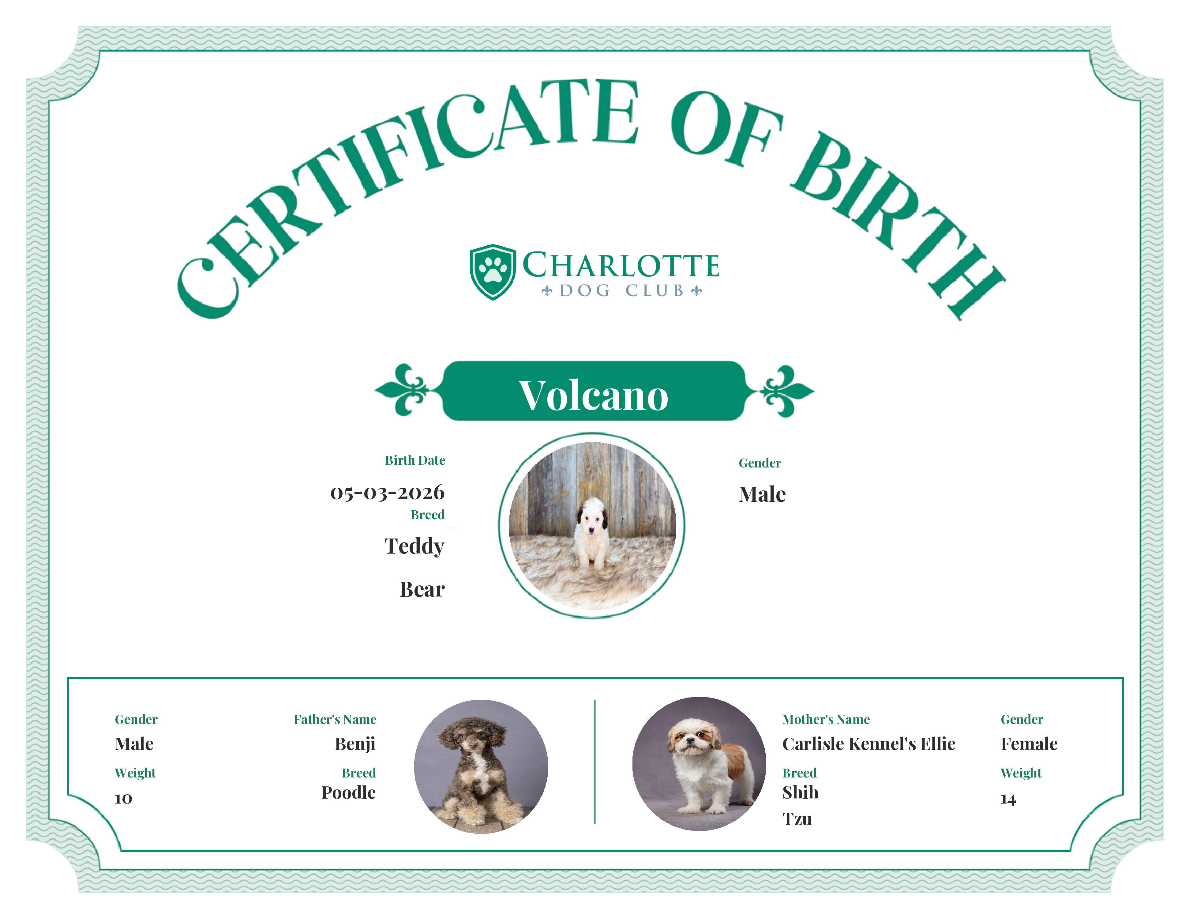 Volcano's Birth Certificate