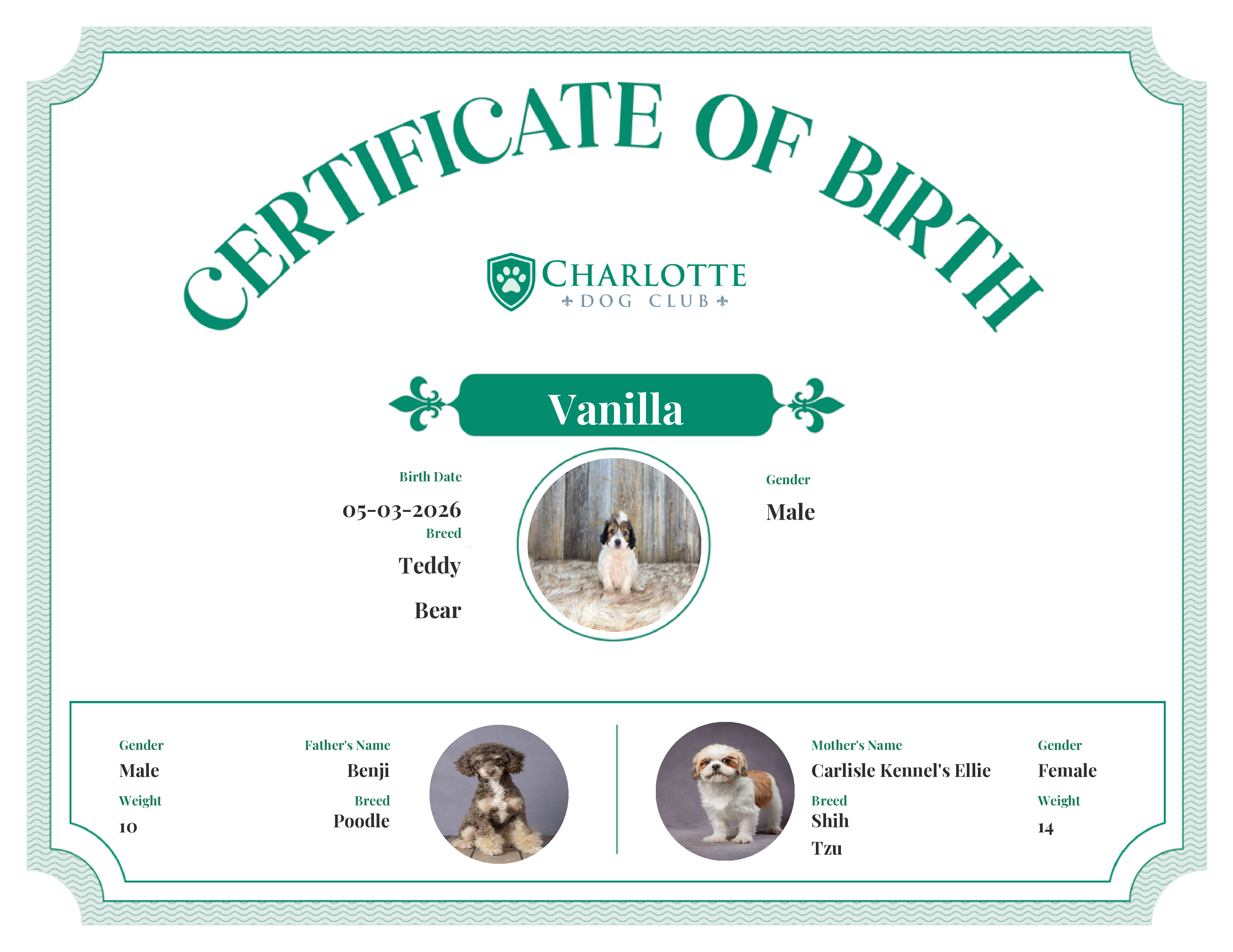 Vanilla's Birth Certificate