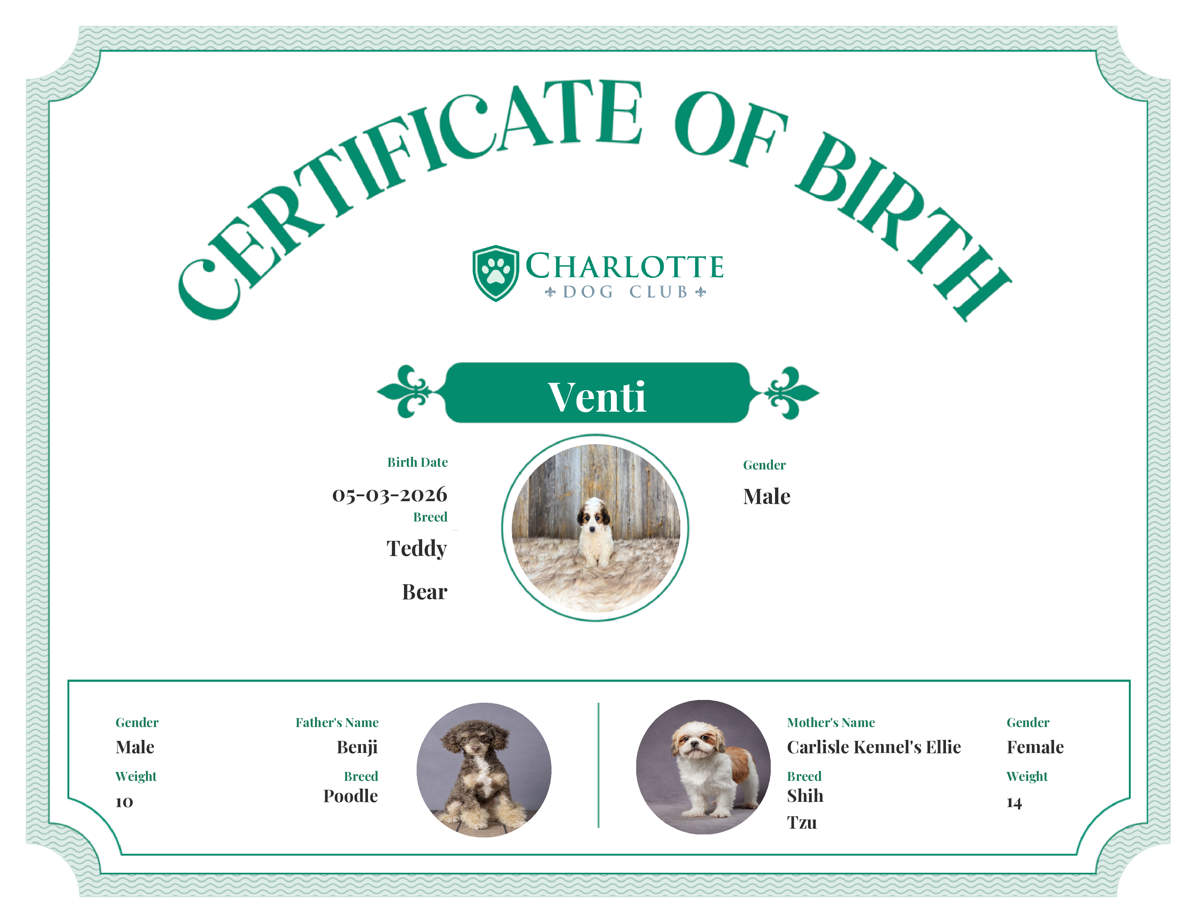 Venti's Birth Certificate