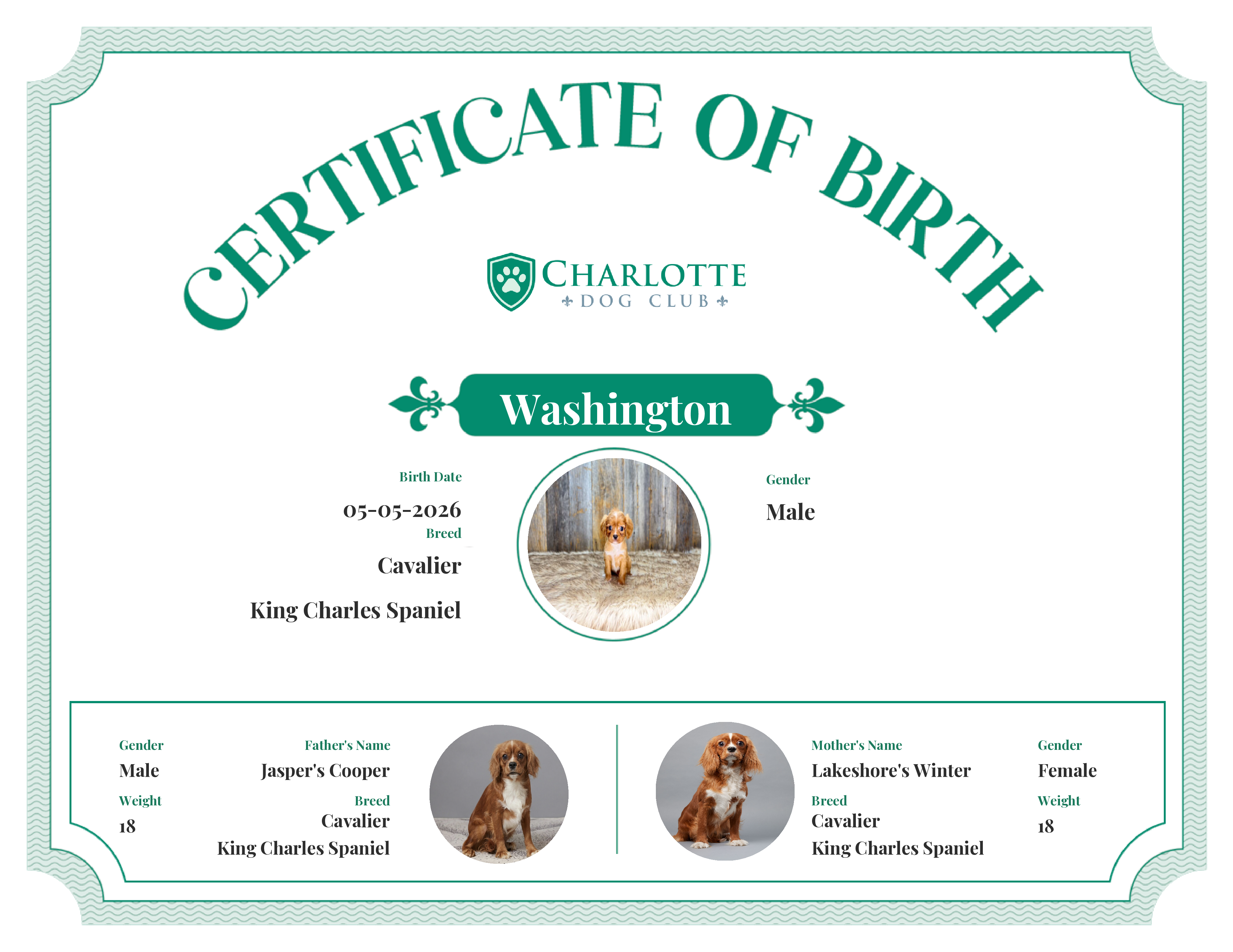 Washington's Birth Certificate
