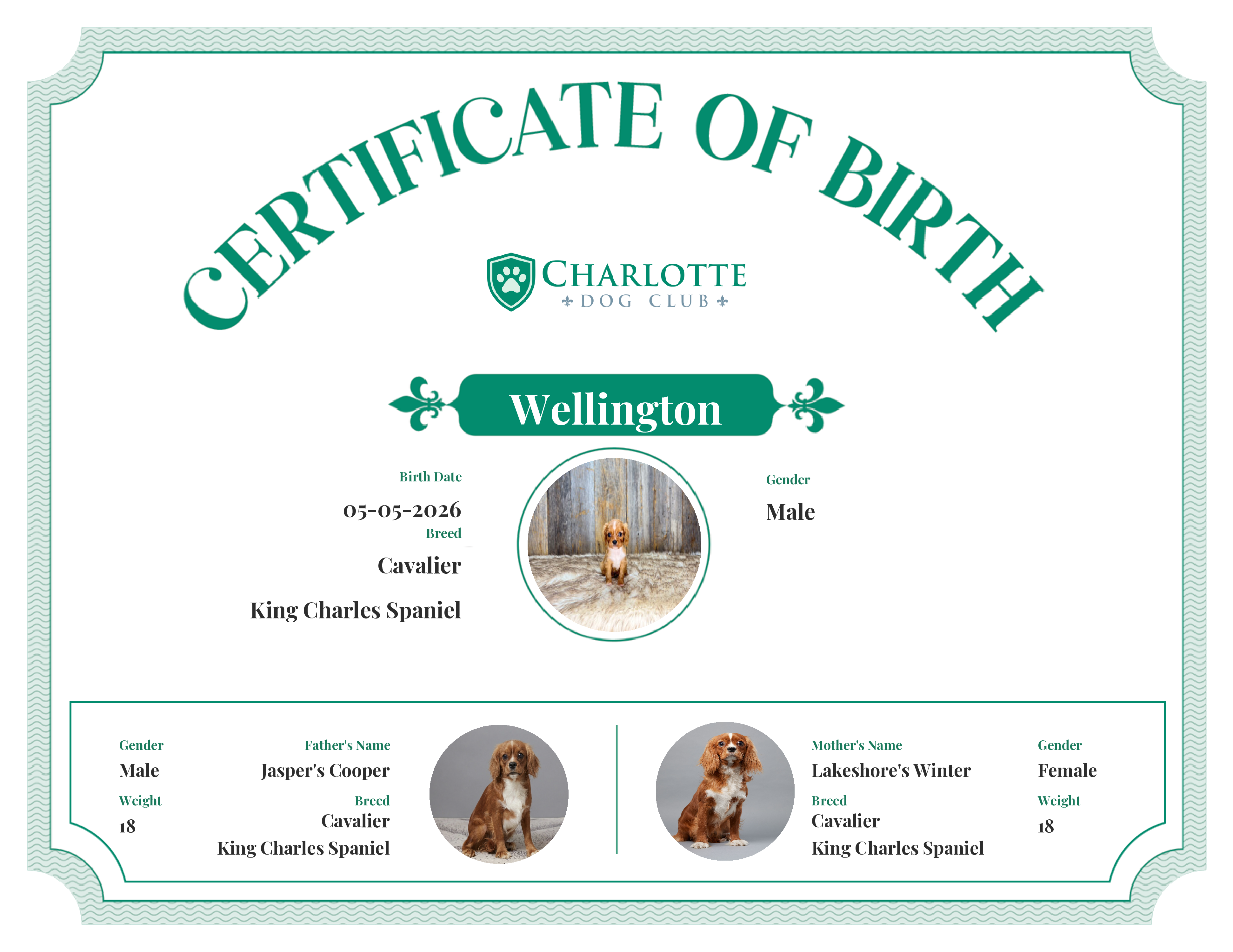 Wellington's Birth Certificate