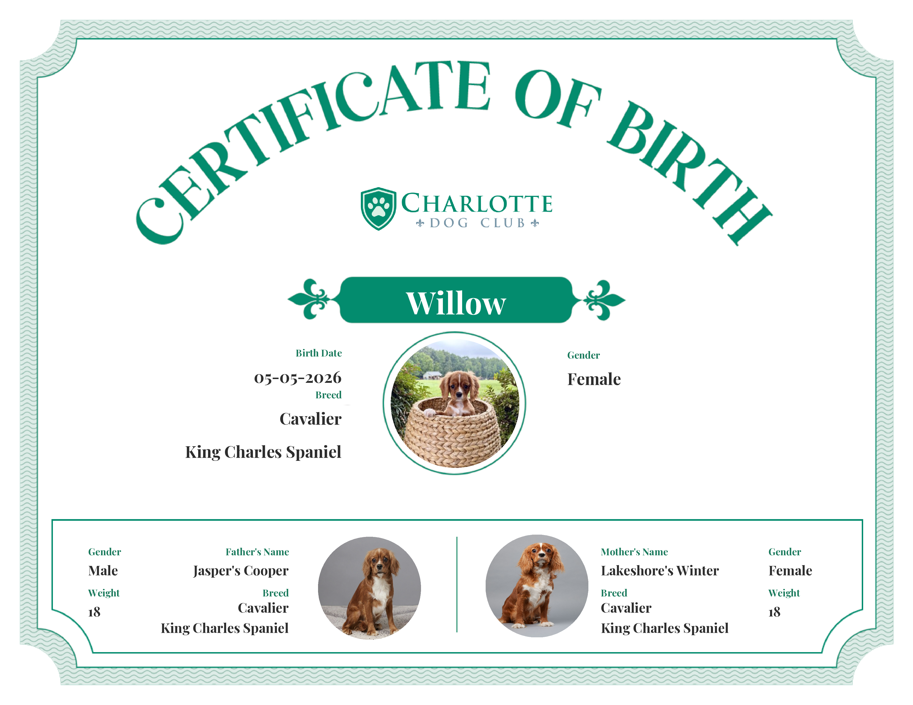 Willow's Birth Certificate