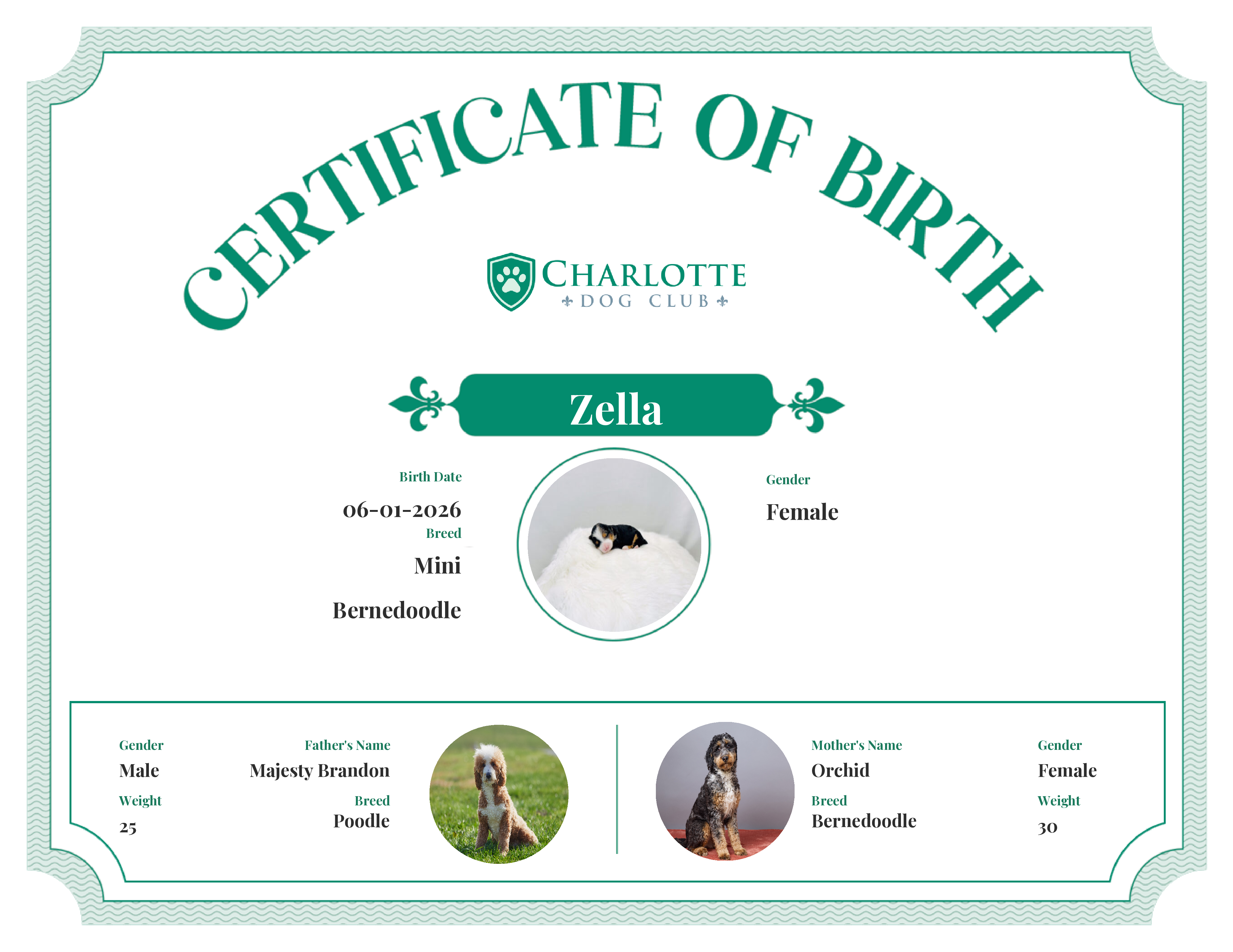 Zella's Birth Certificate