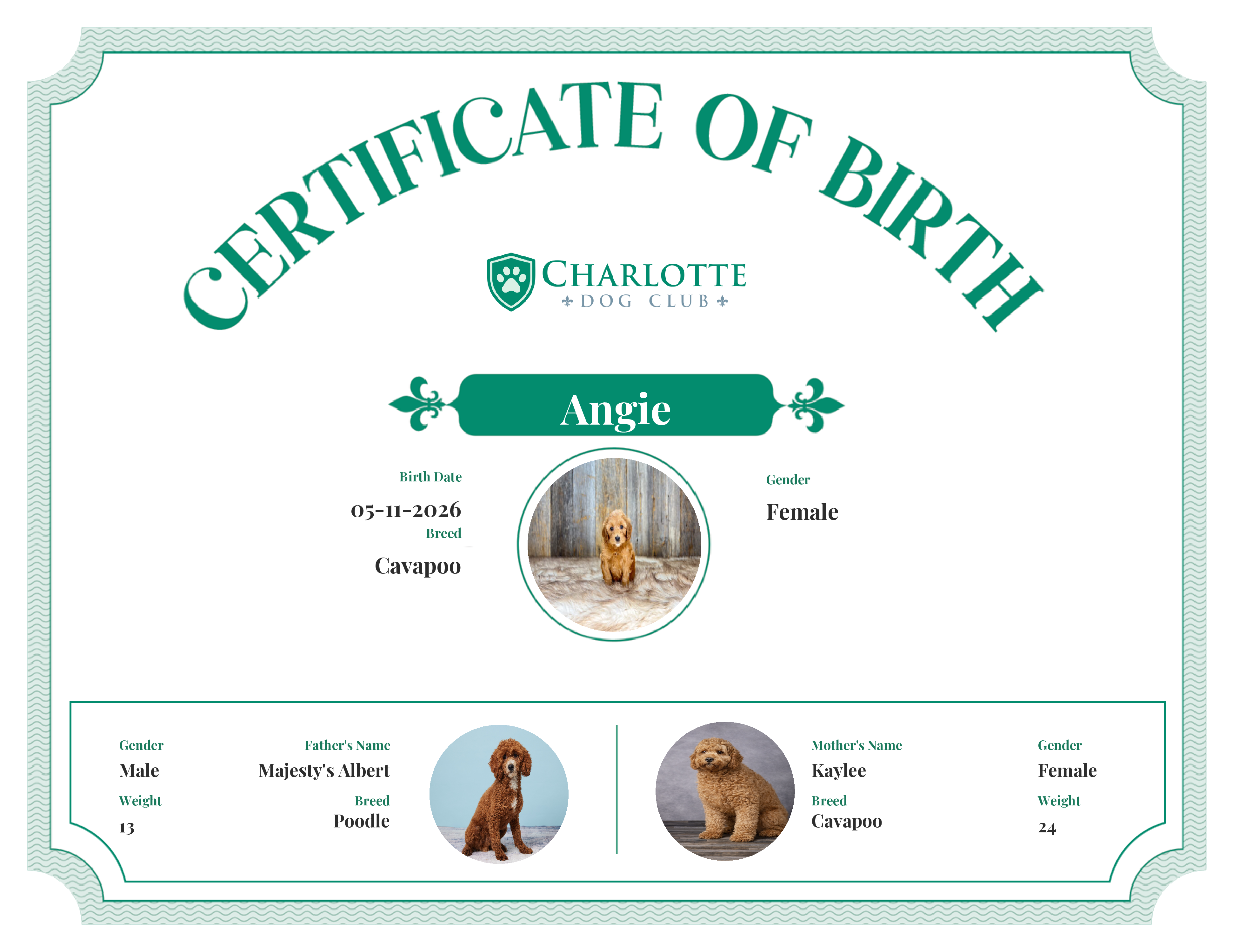 Angie's Birth Certificate