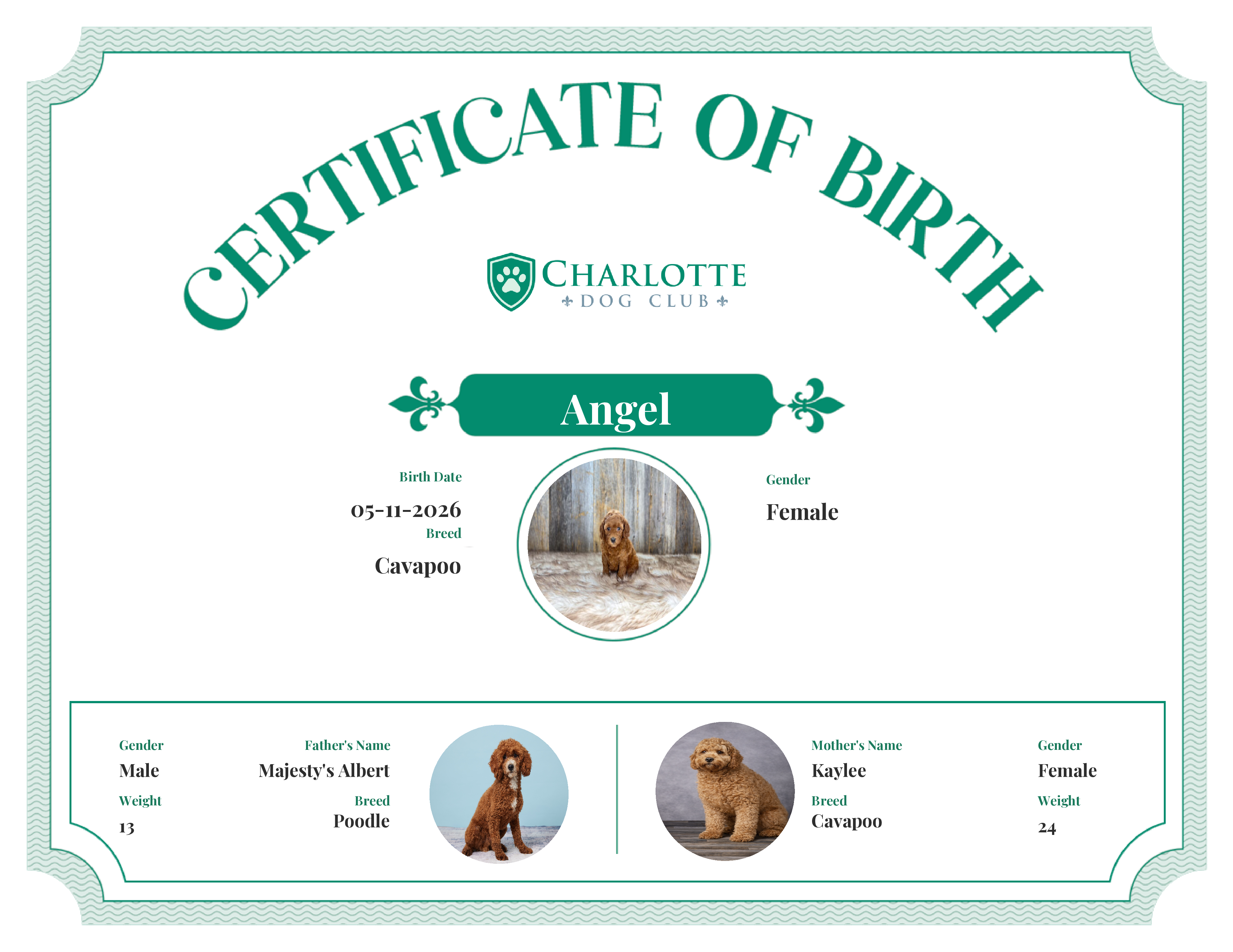 Angel's Birth Certificate