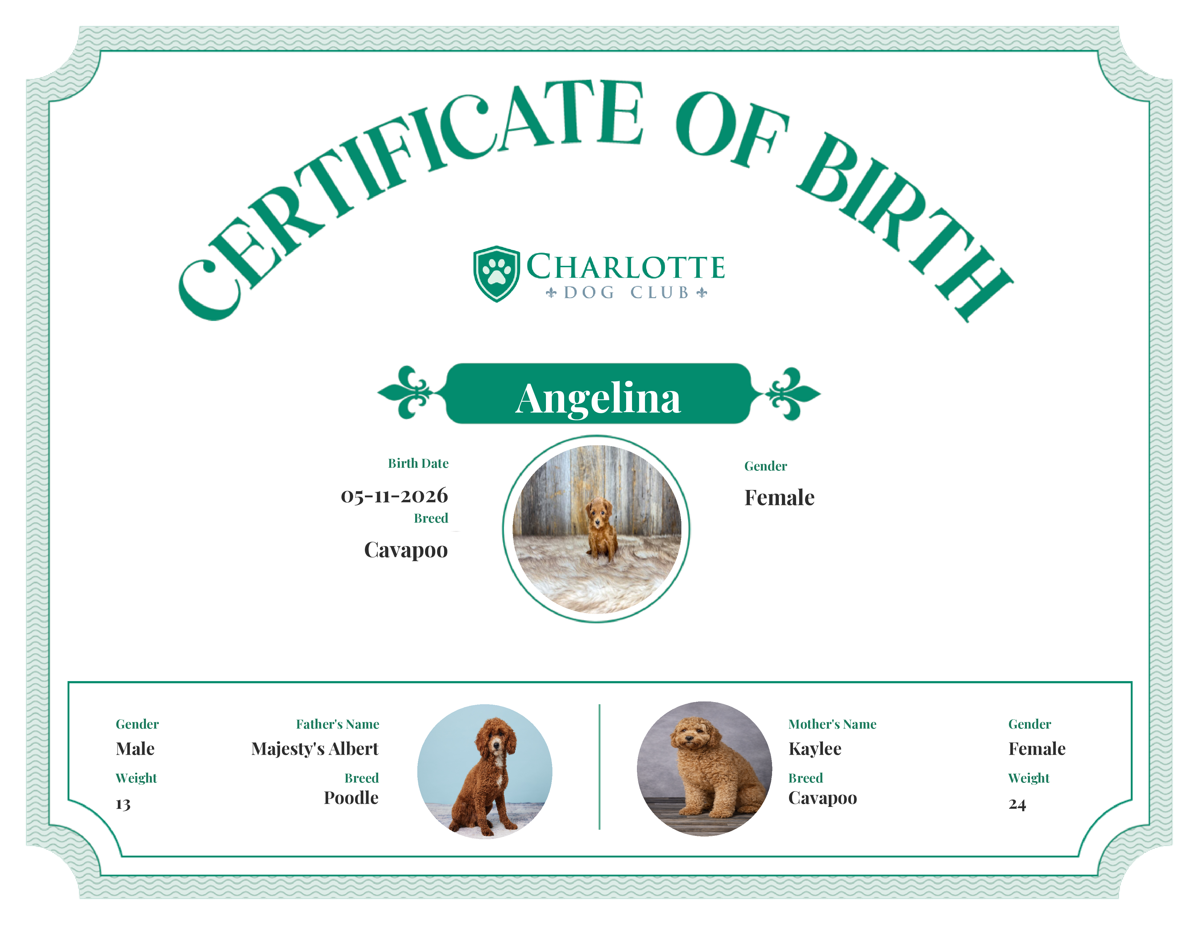 Angelina's Birth Certificate