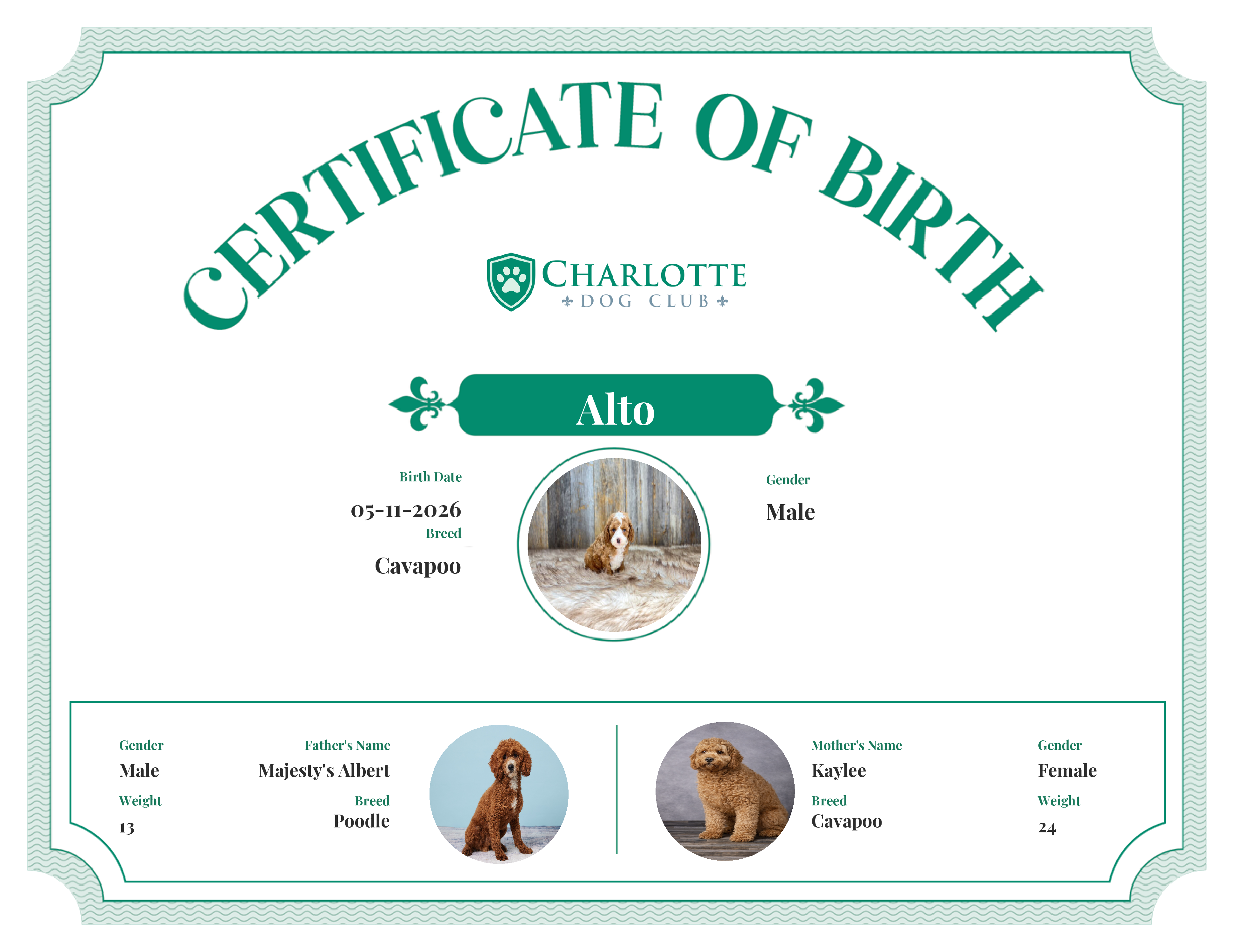 Alto's Birth Certificate