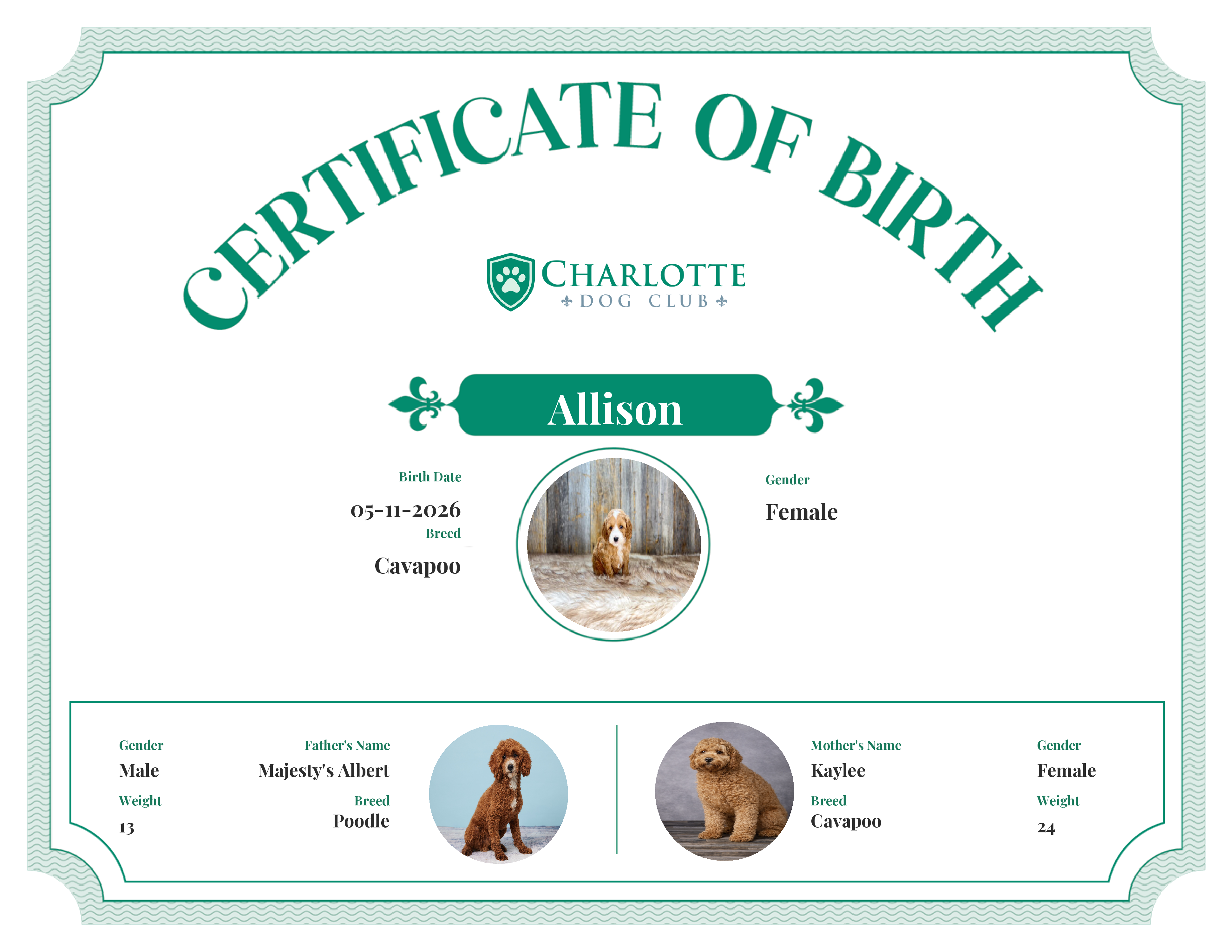 Allison's Birth Certificate
