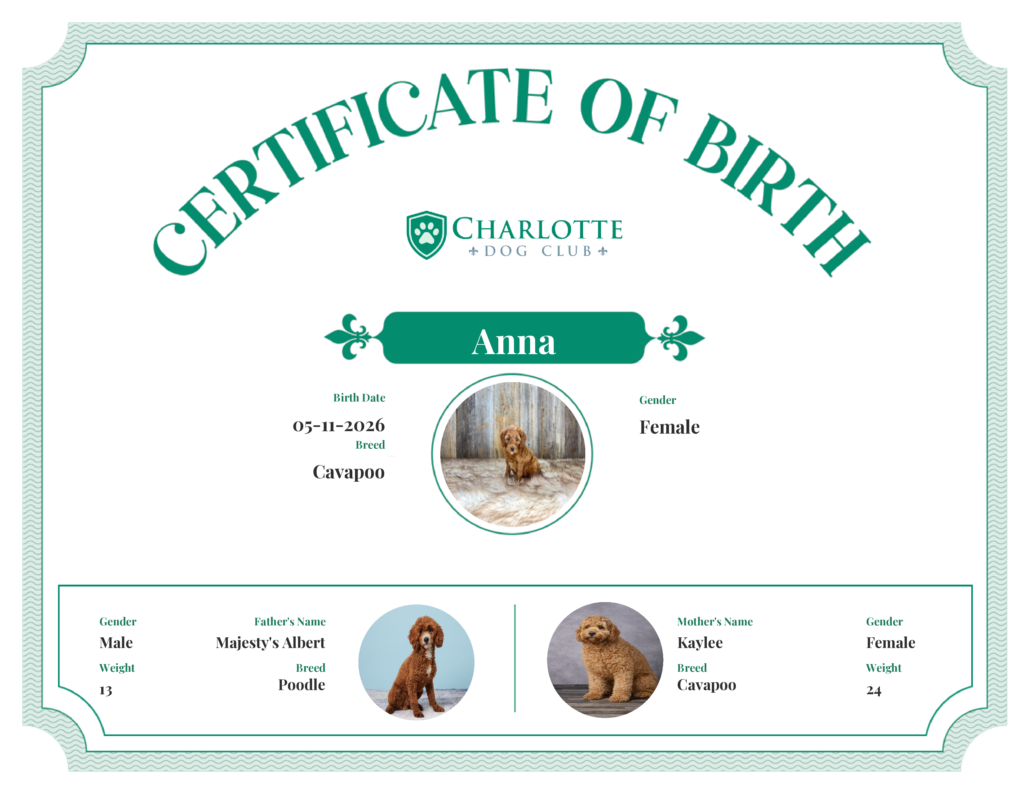Anna's Birth Certificate