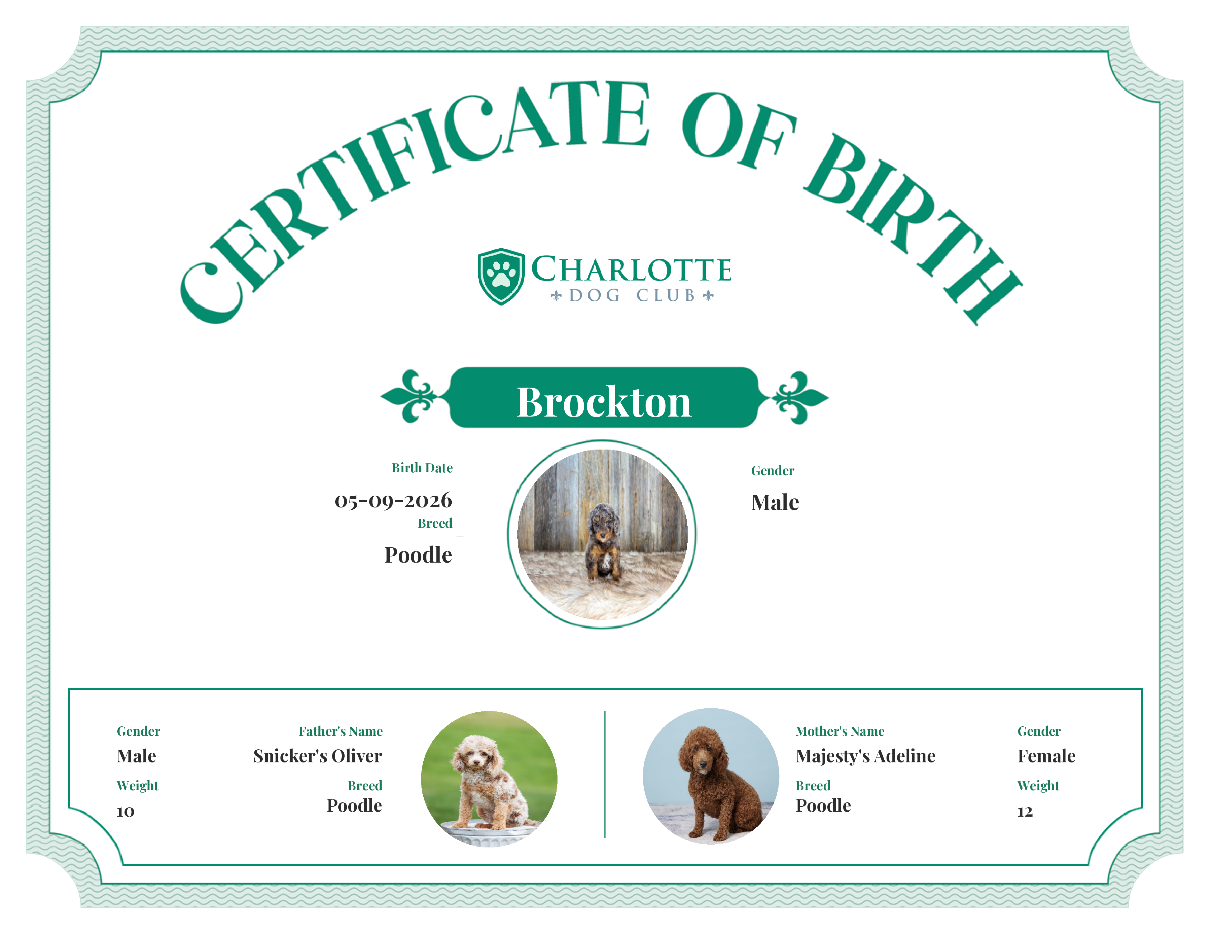 Brockton's Birth Certificate