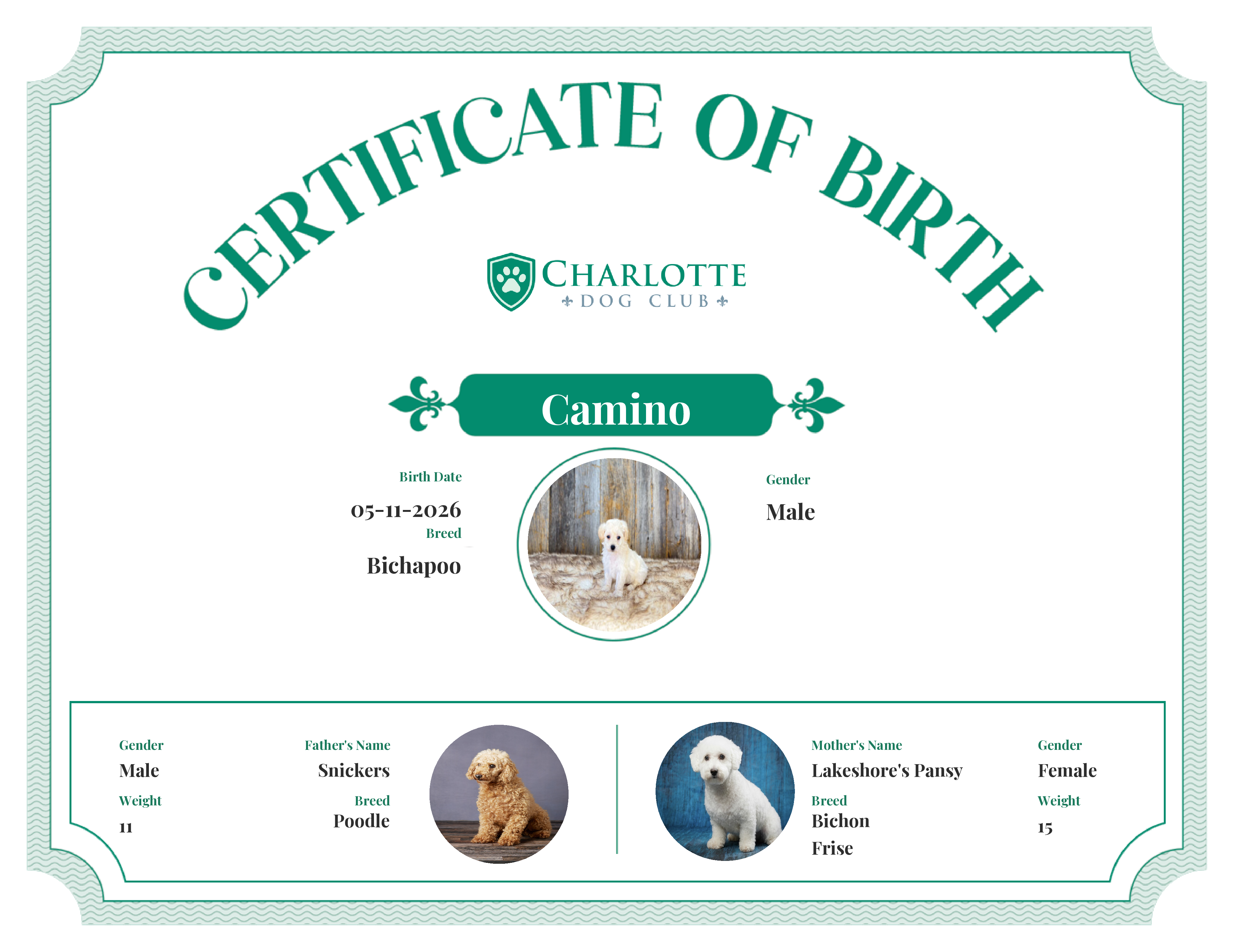 Camino's Birth Certificate