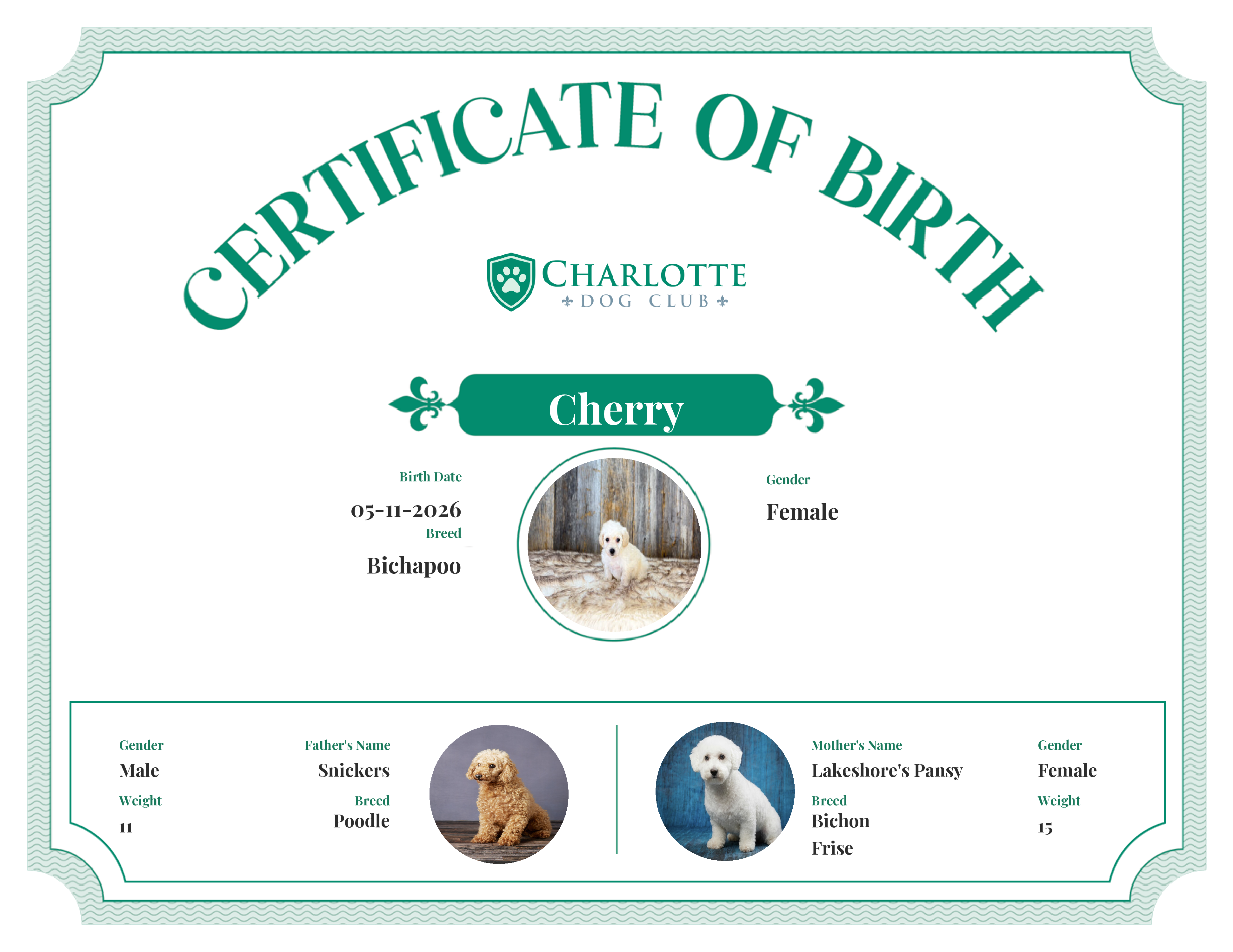 Cherry's Birth Certificate