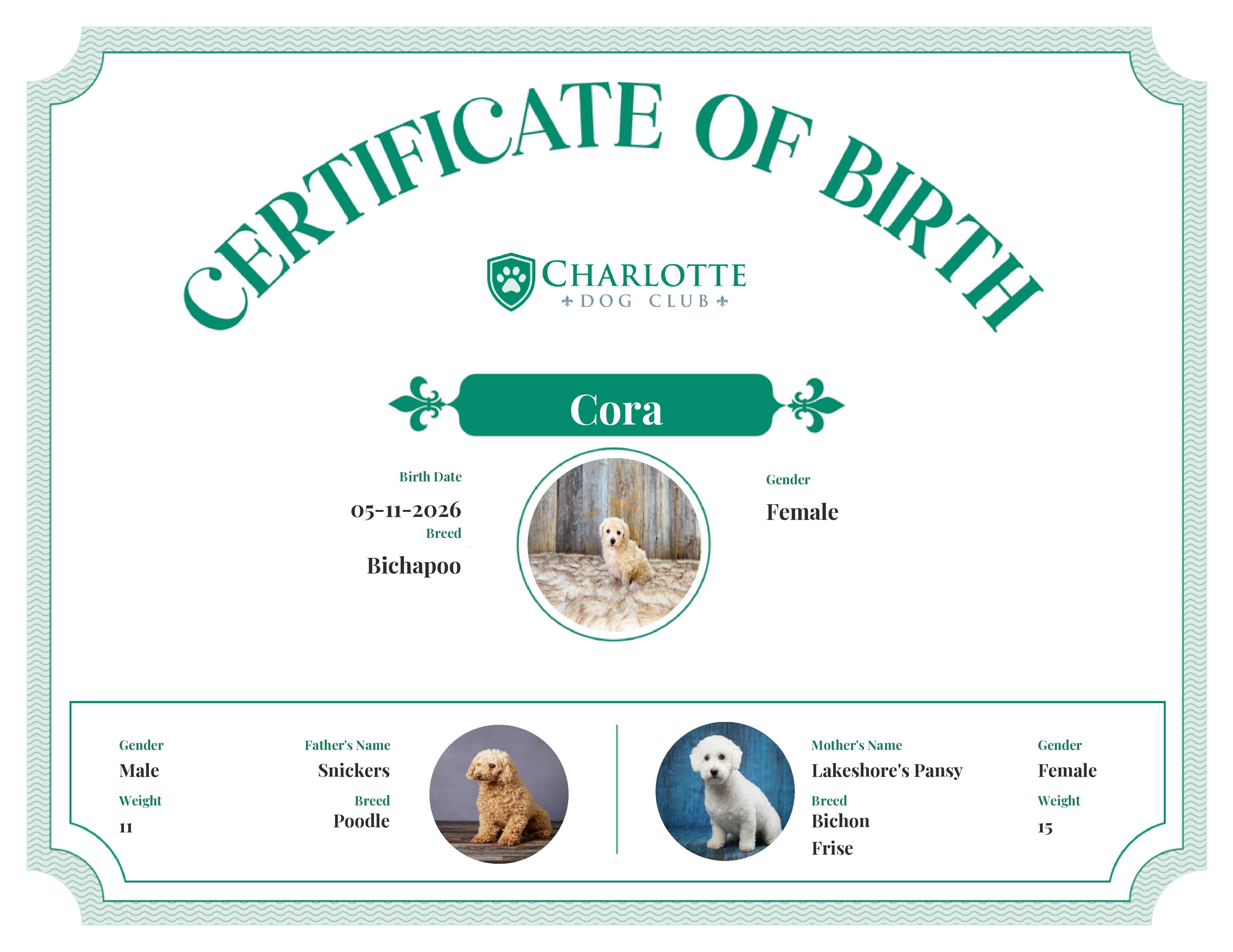 Cora's Birth Certificate