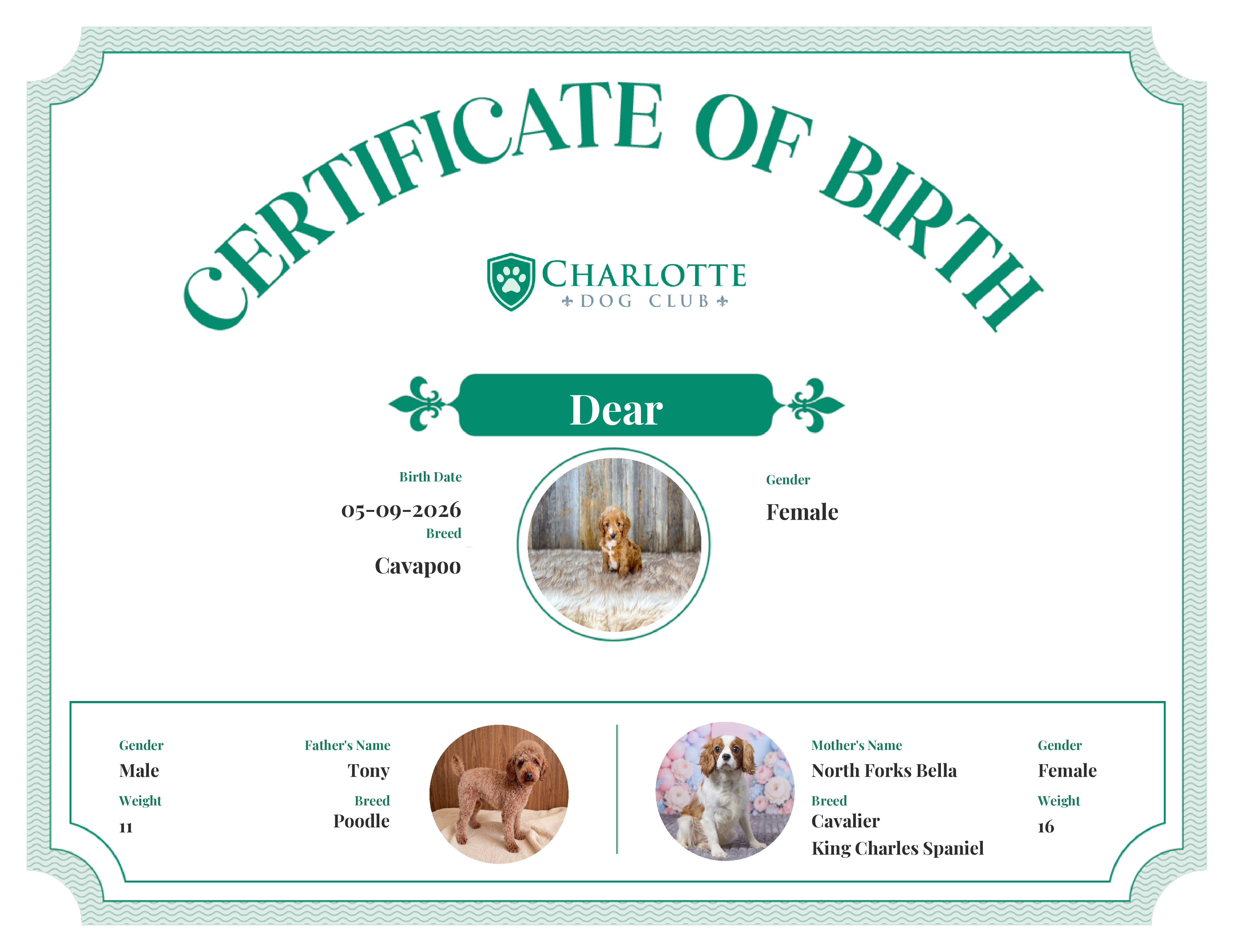 Dear's Birth Certificate