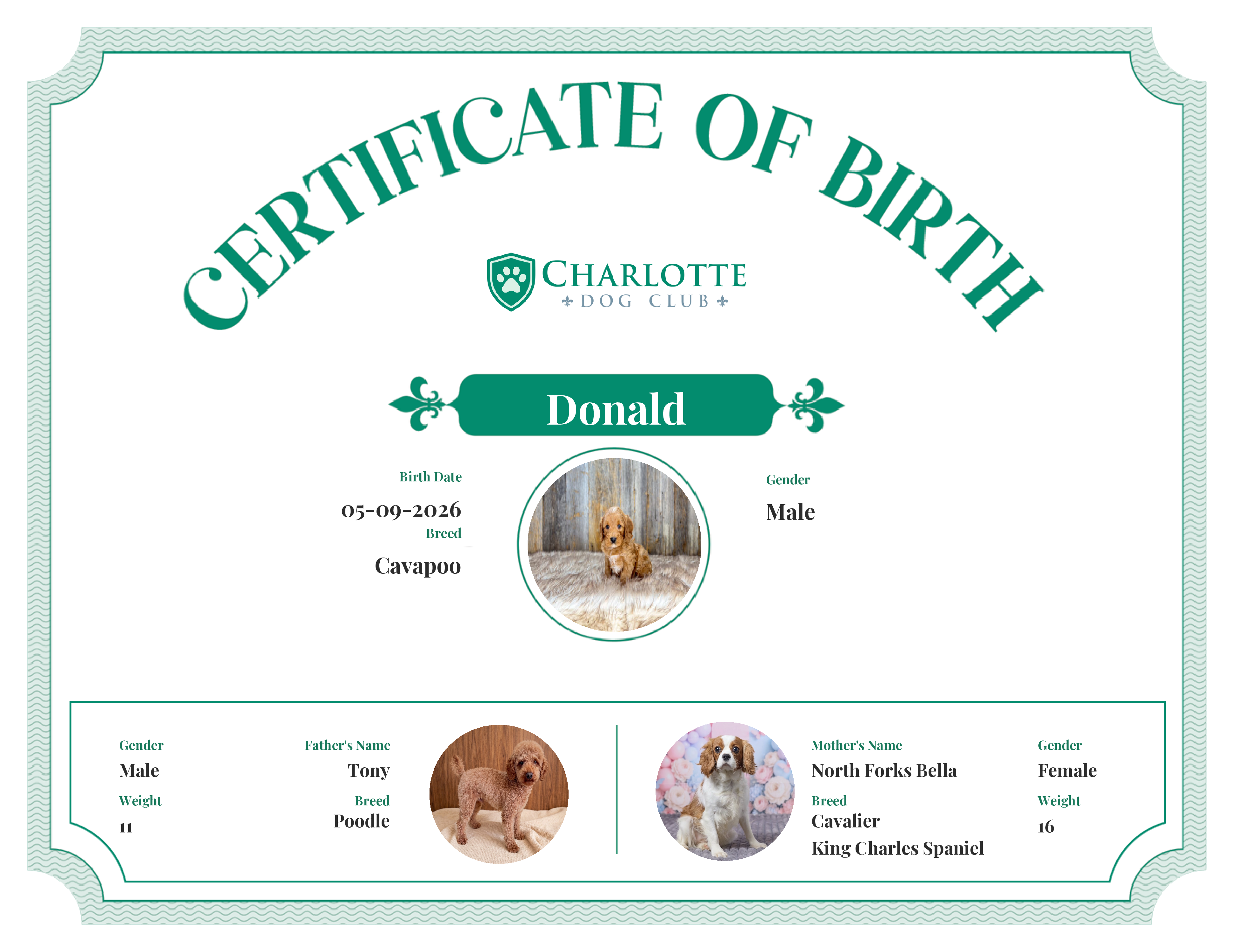 Donald's Birth Certificate