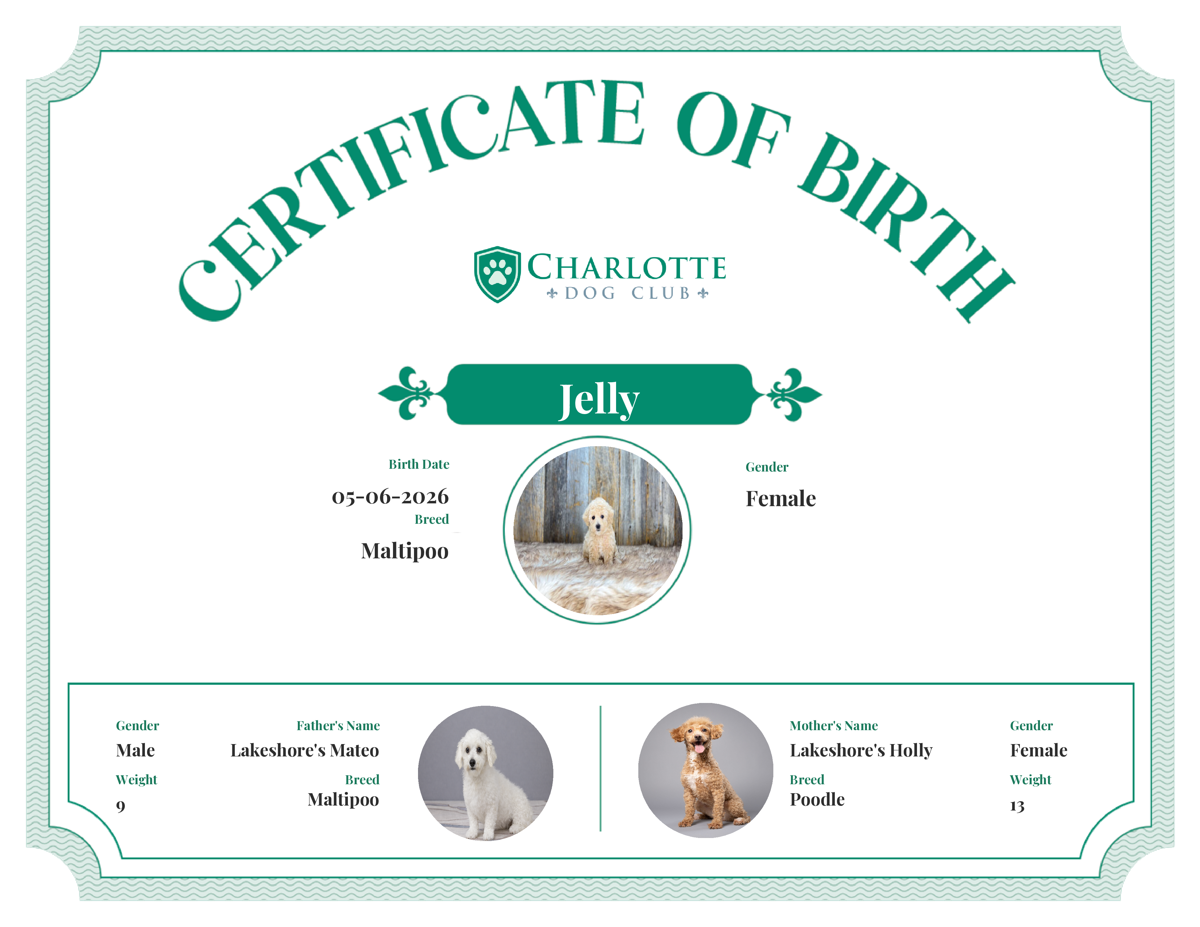 Jelly's Birth Certificate