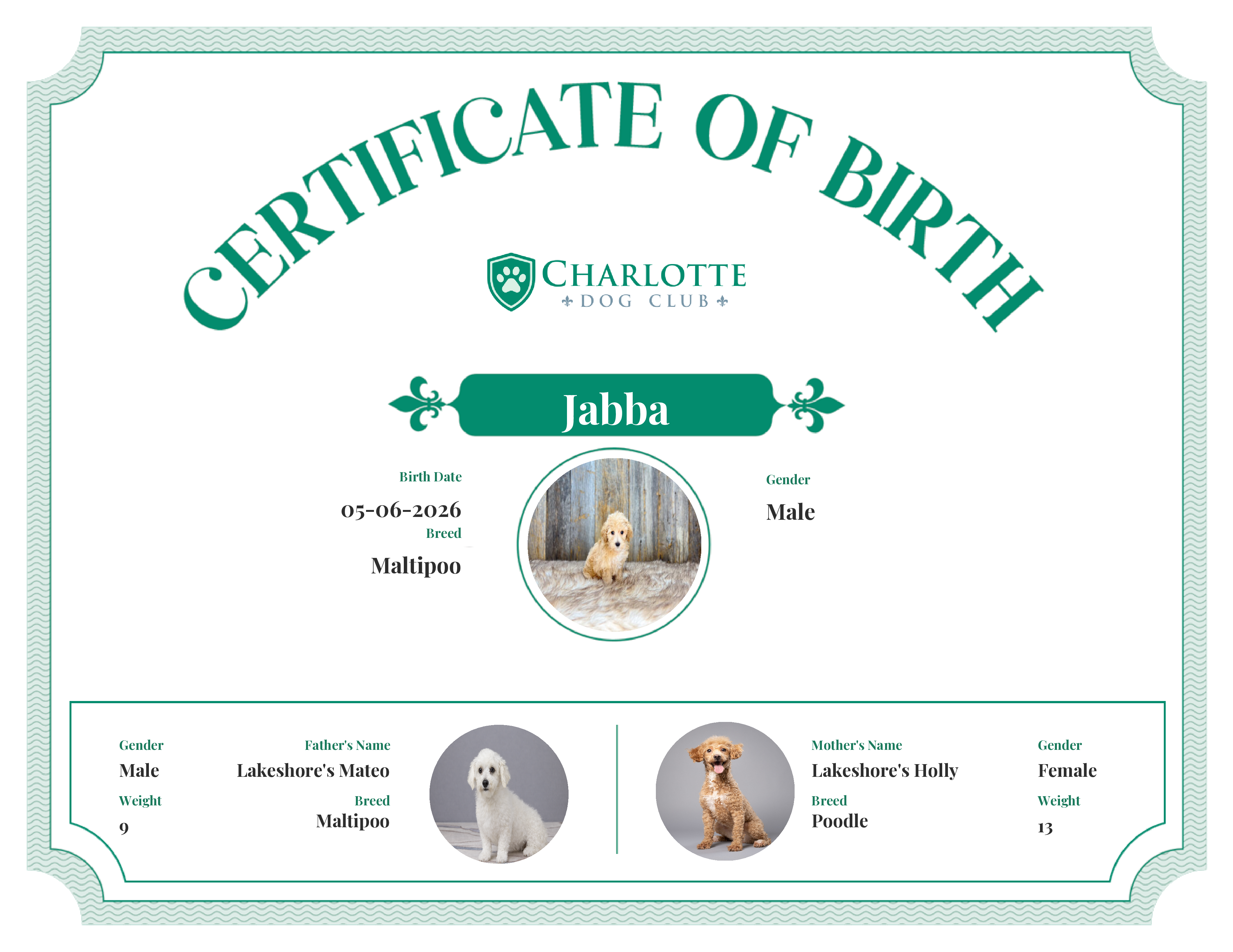 Jabba's Birth Certificate
