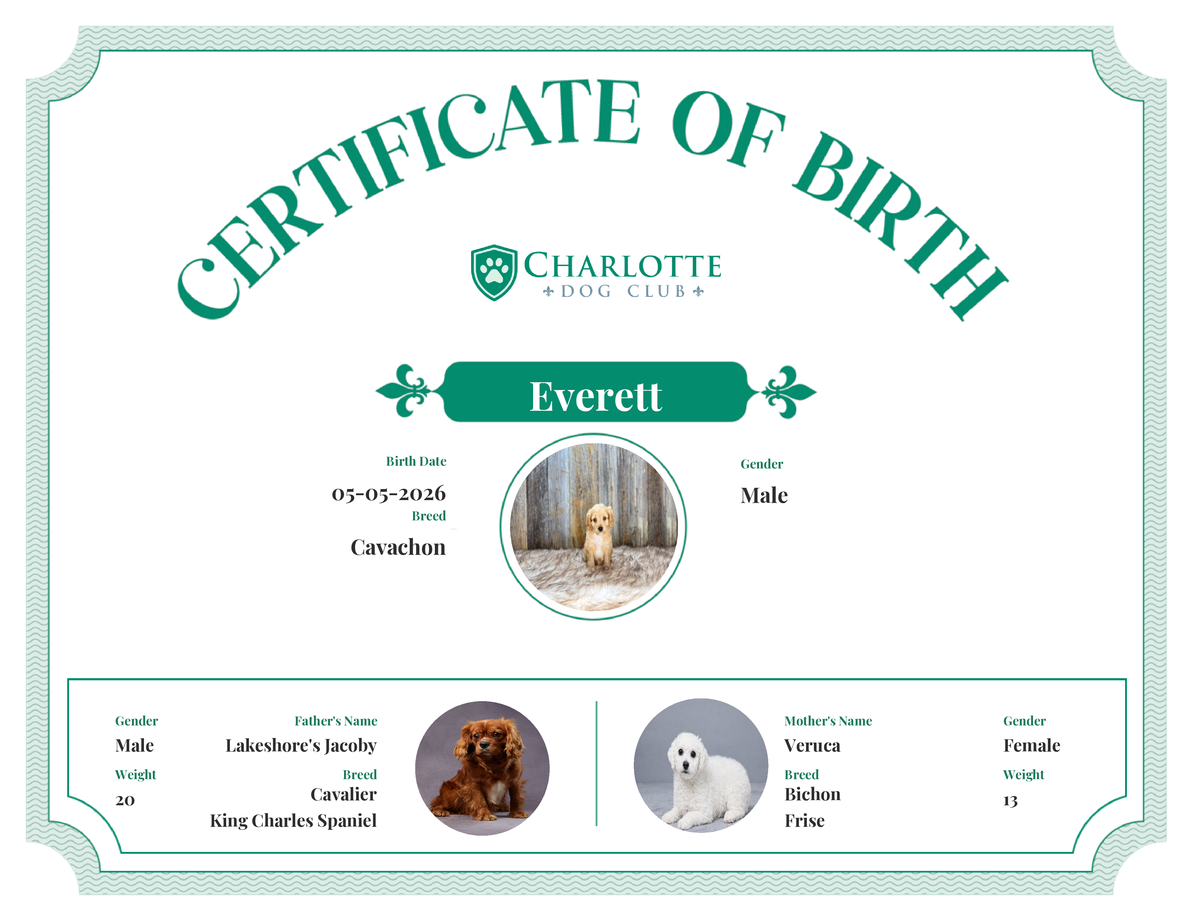 Everett's Birth Certificate