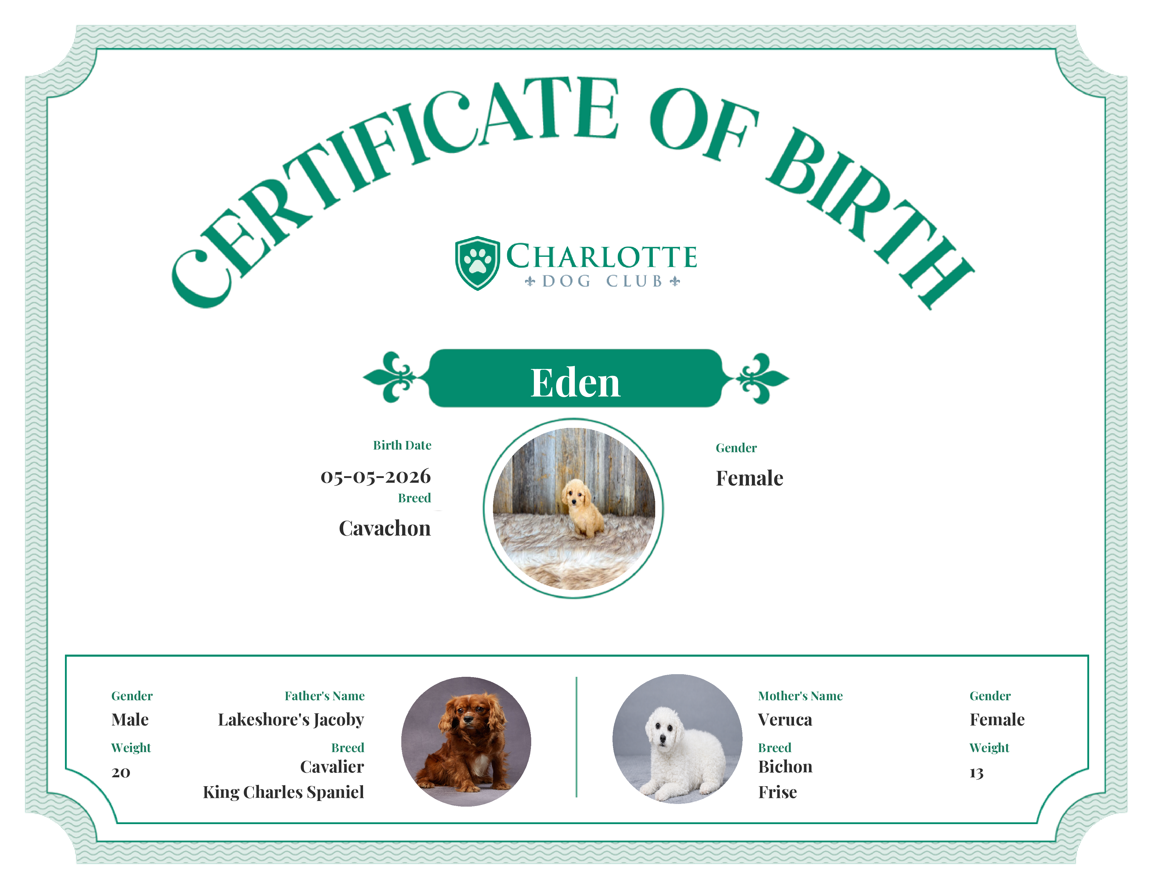 Eden's Birth Certificate