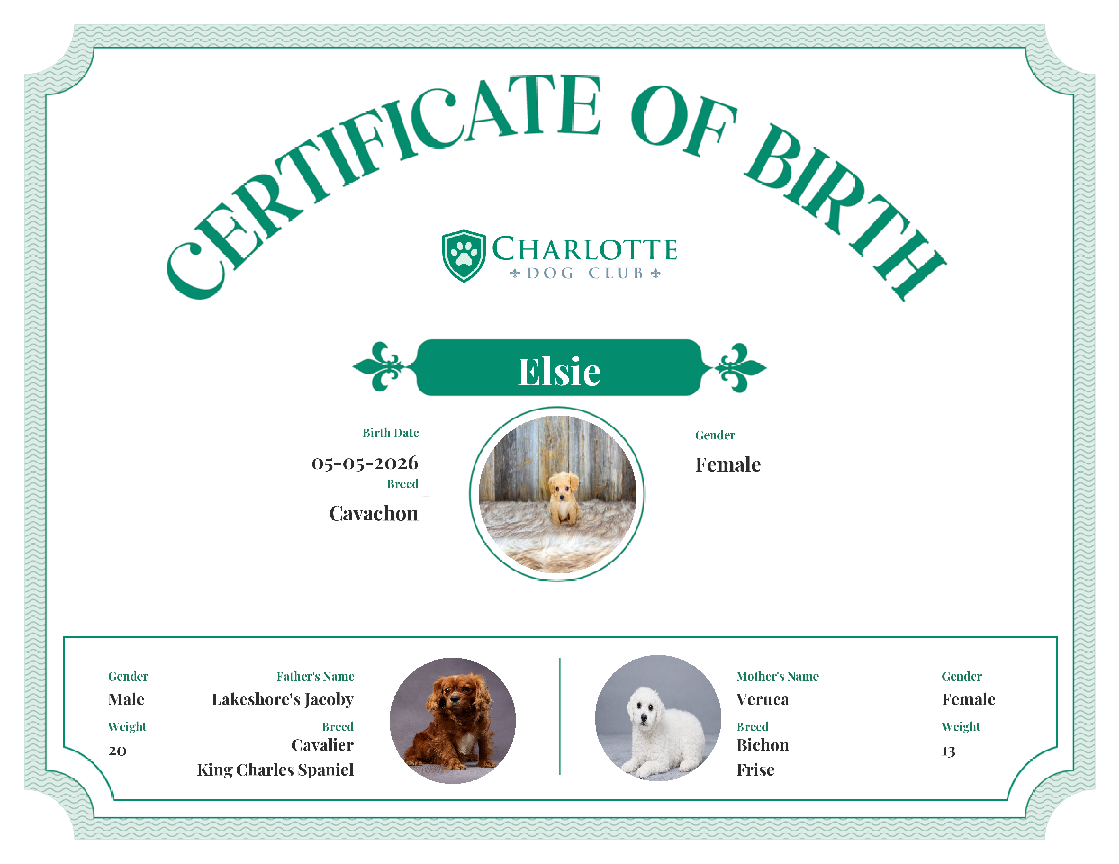Elsie's Birth Certificate