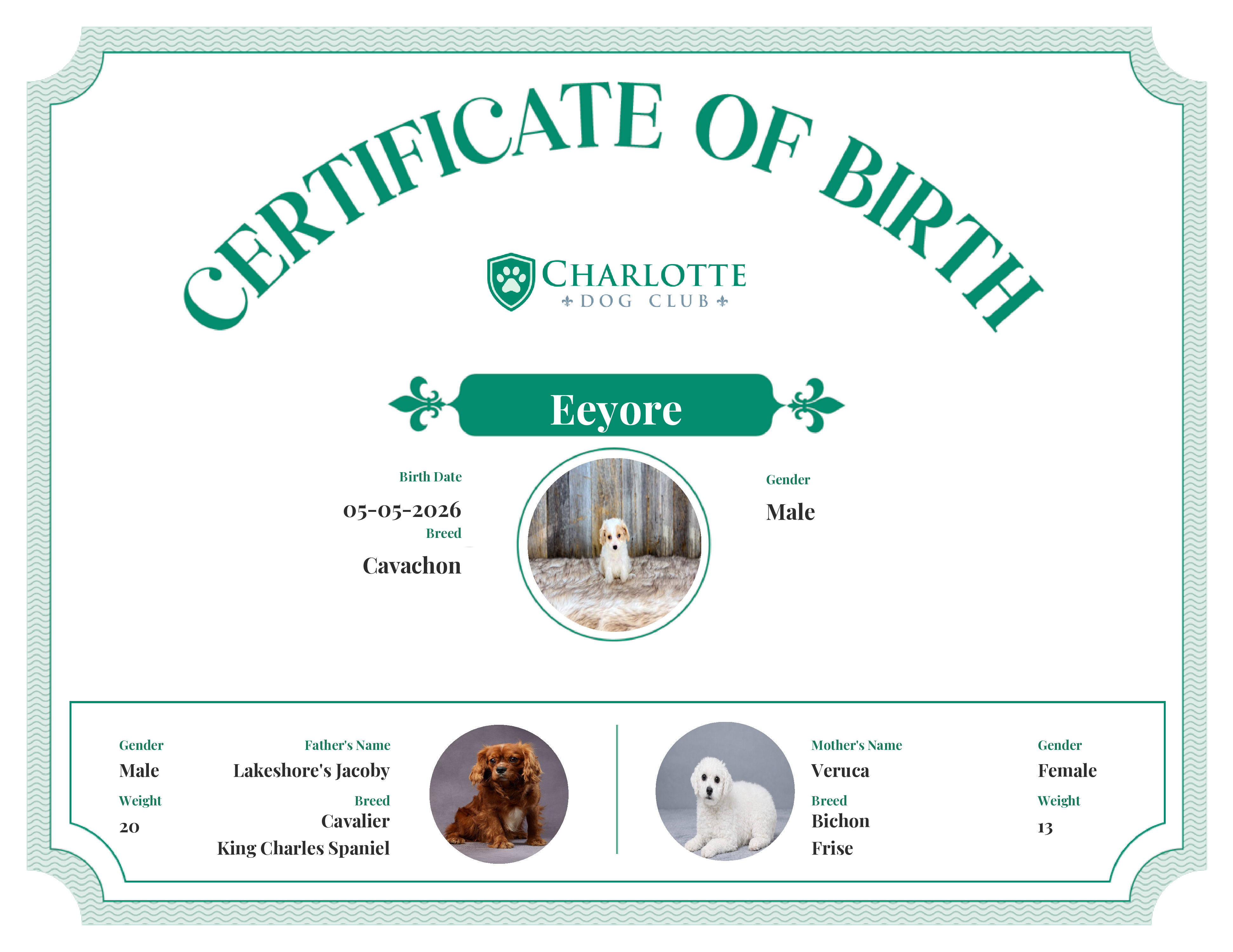 Eeyore's Birth Certificate