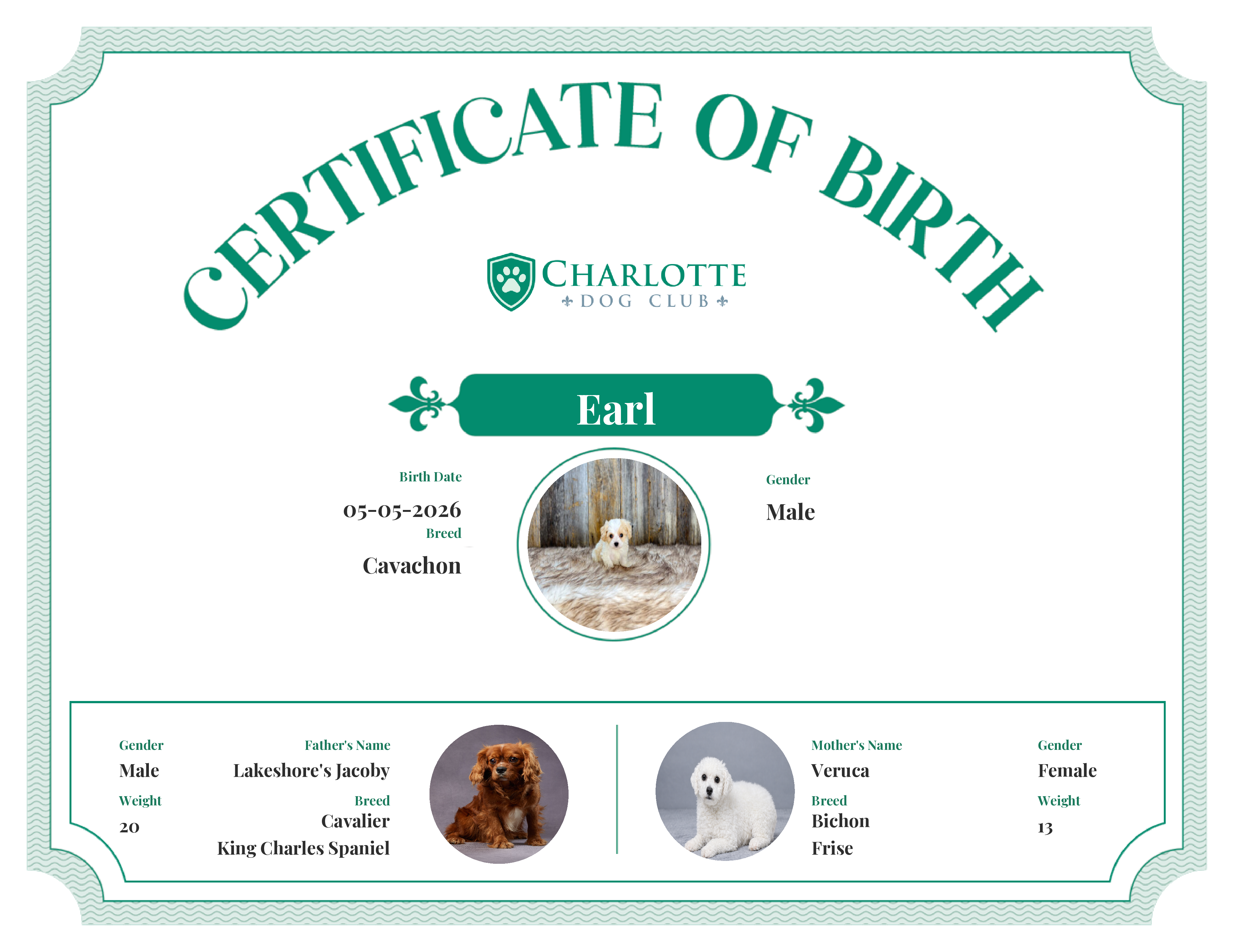 Earl's Birth Certificate