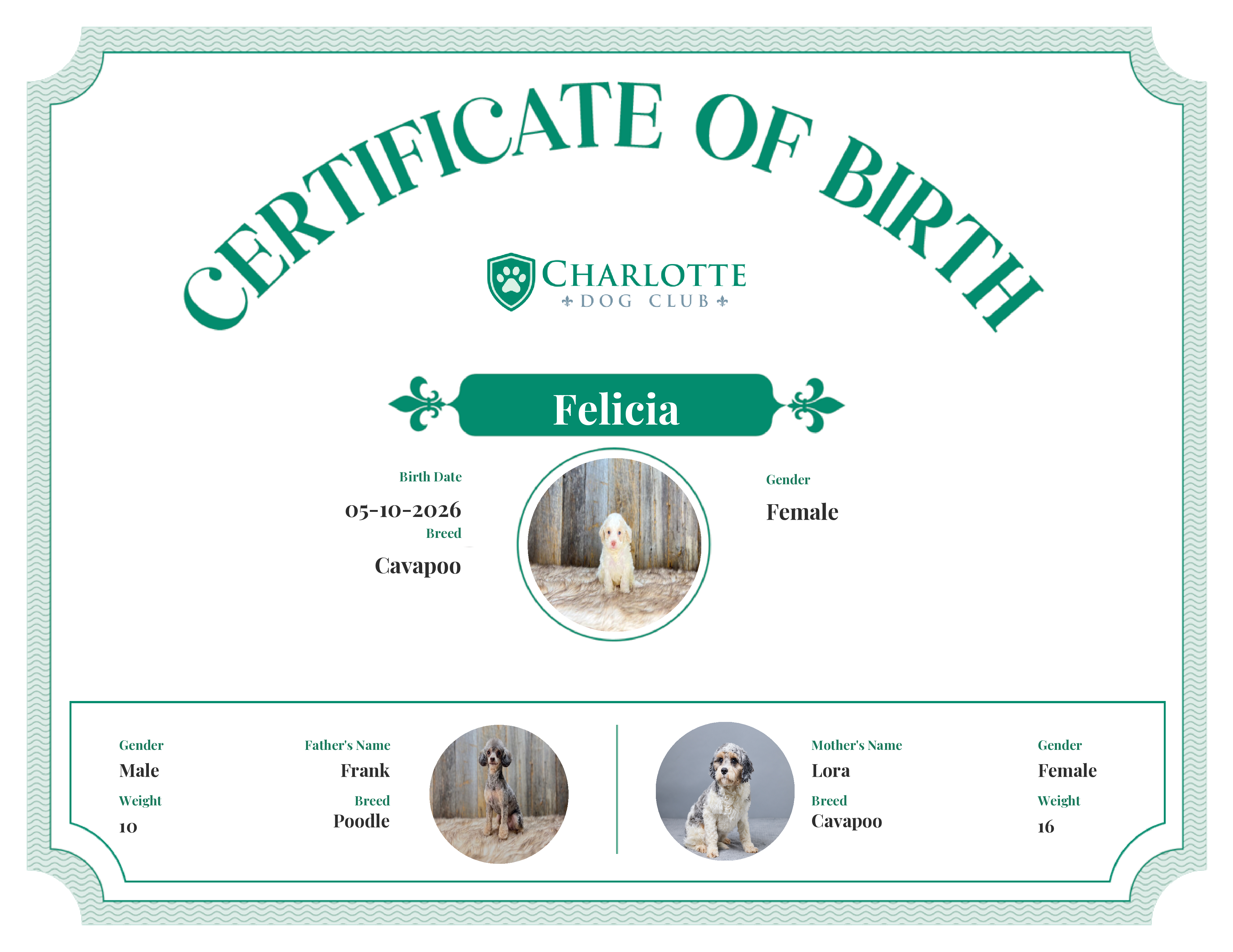 Felicia's Birth Certificate