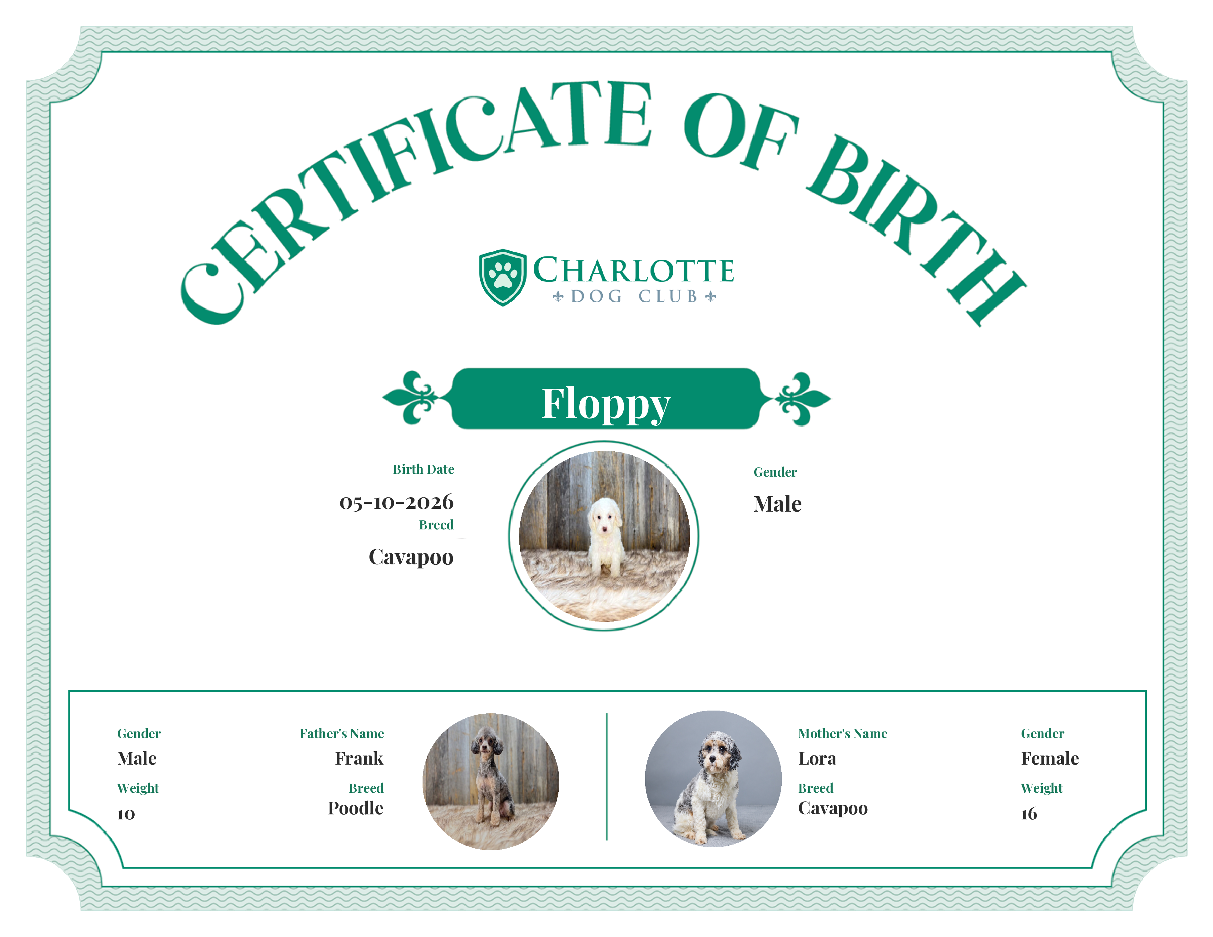 Floppy's Birth Certificate