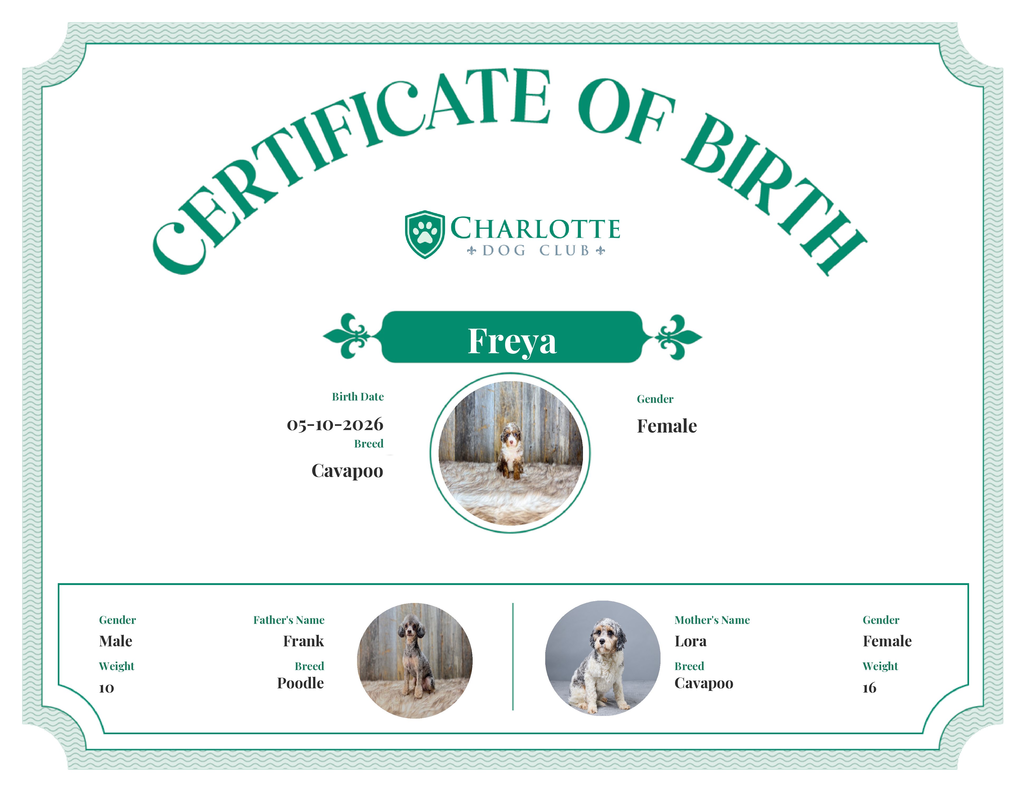 Freya's Birth Certificate