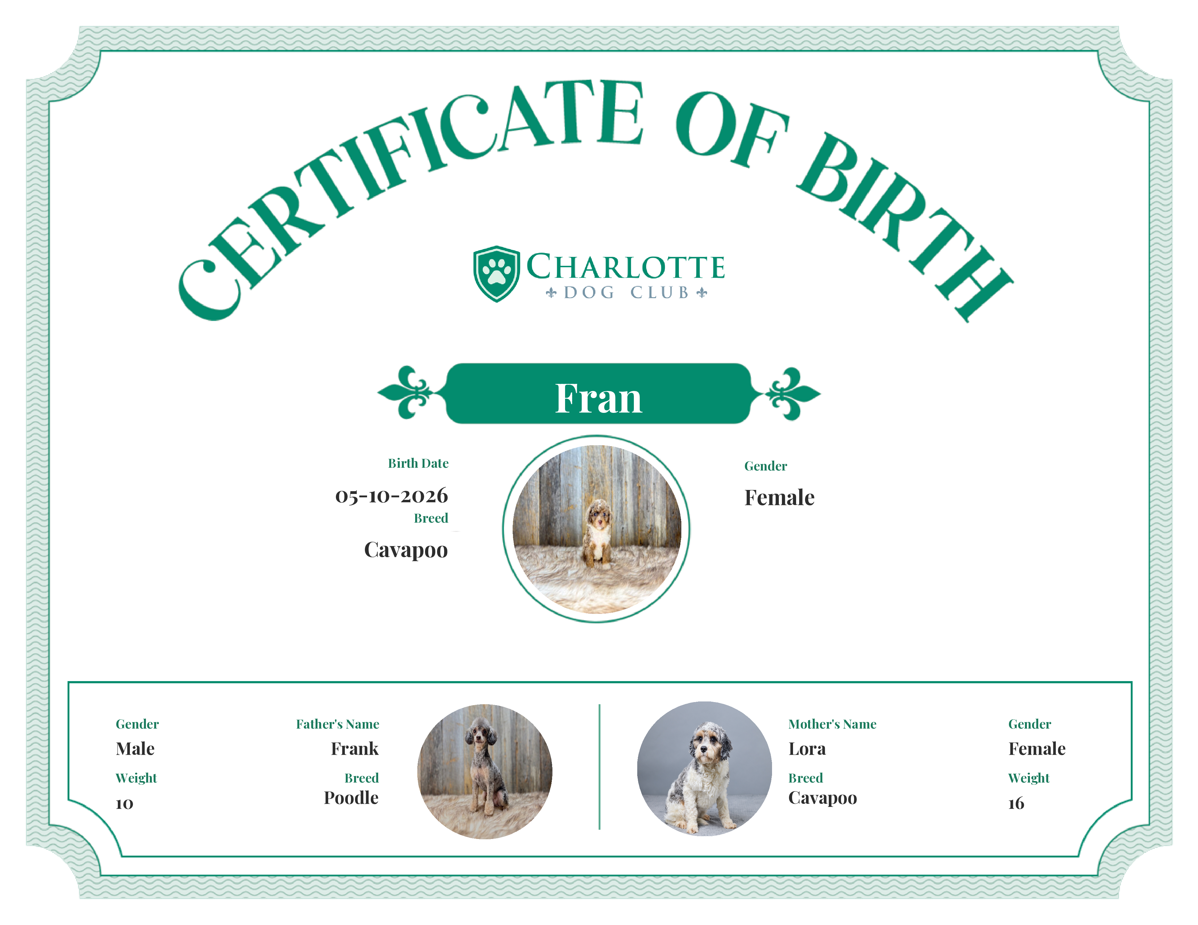 Fran's Birth Certificate