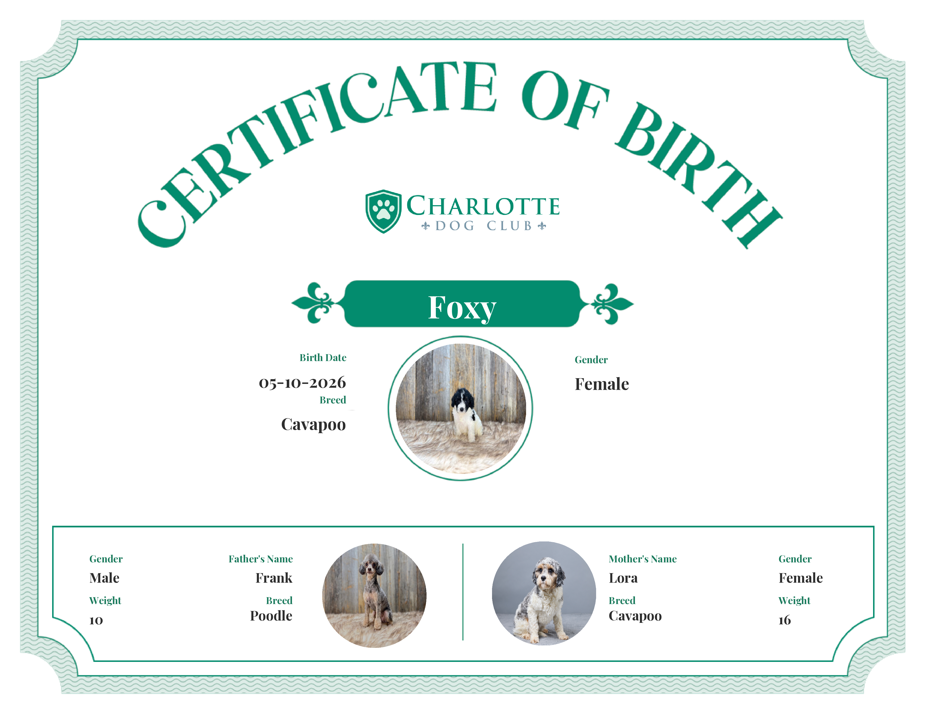 Foxy's Birth Certificate