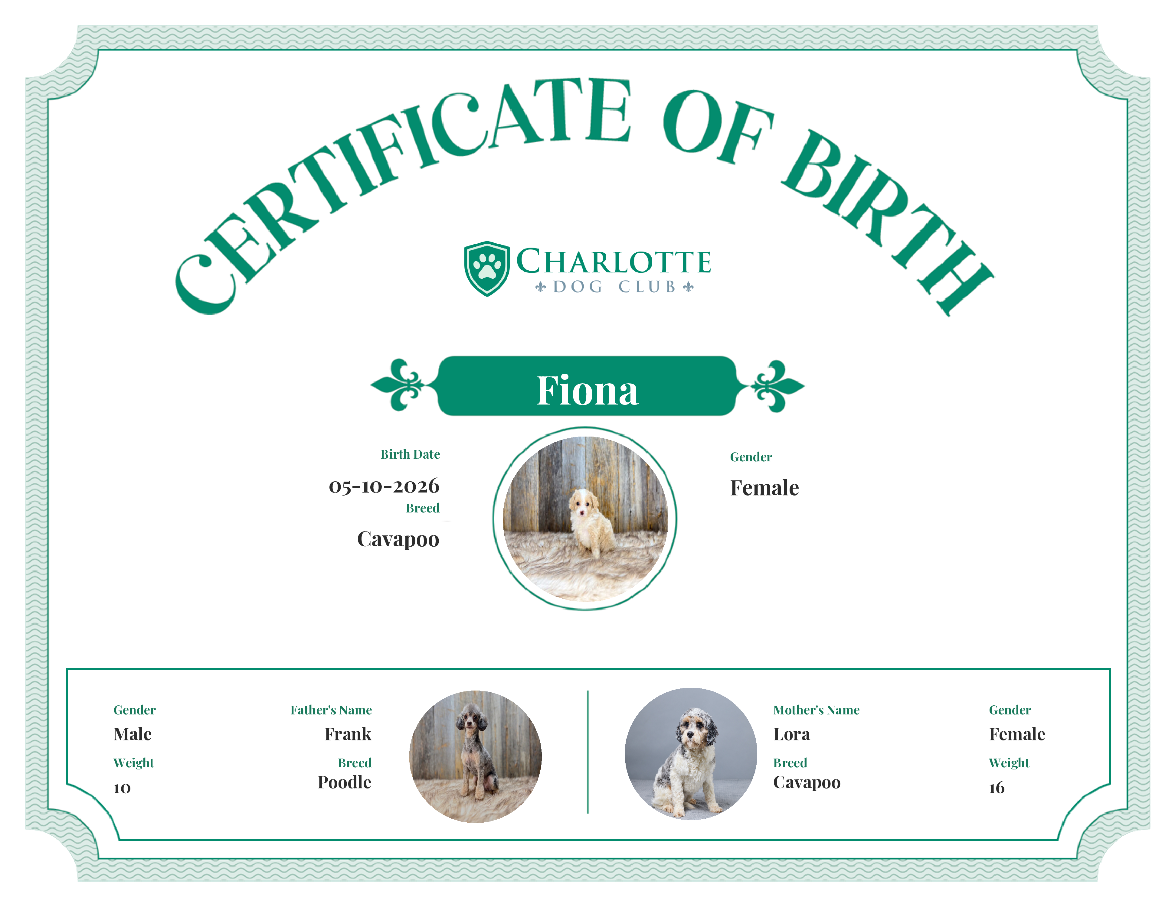 Fiona's Birth Certificate