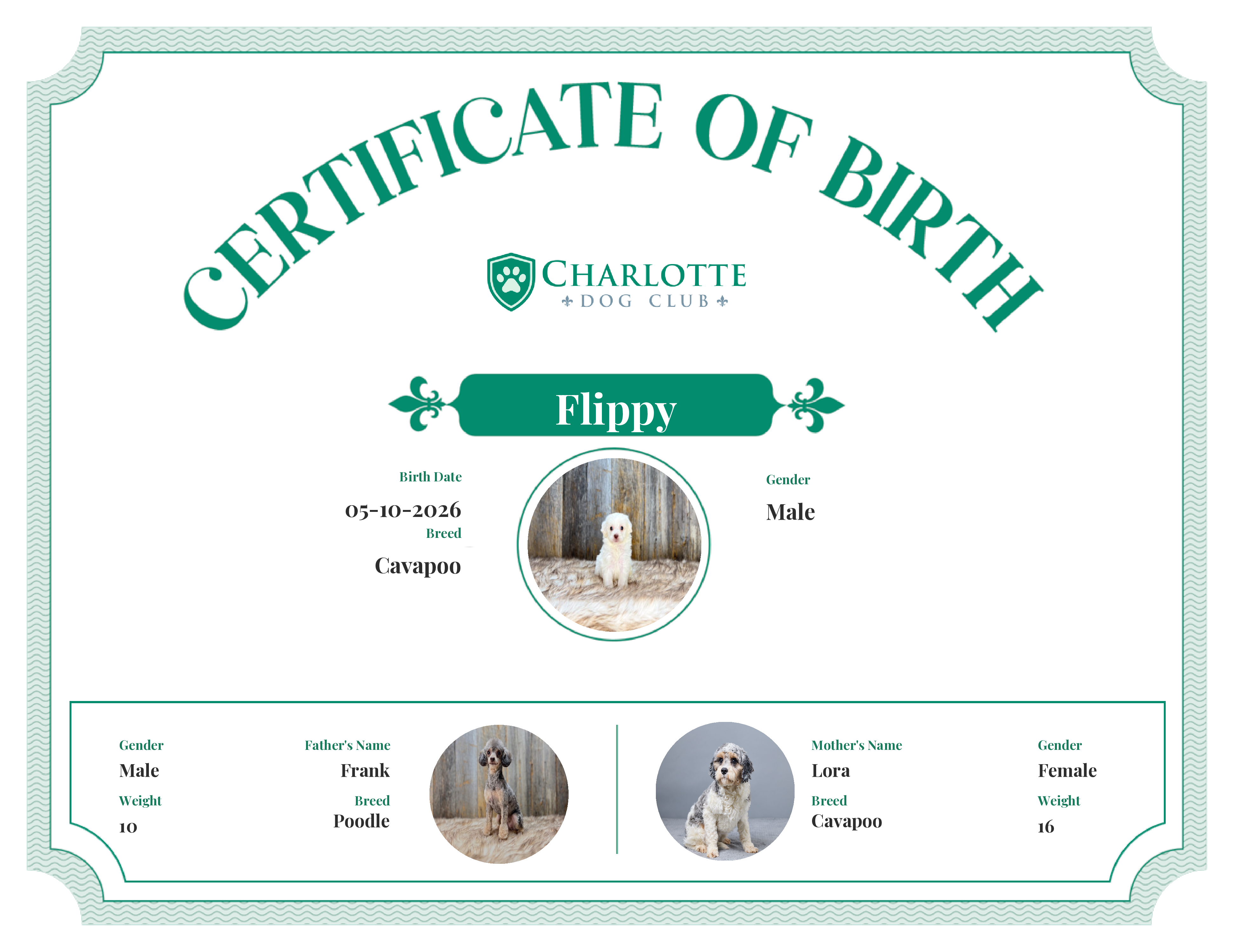 Flippy's Birth Certificate