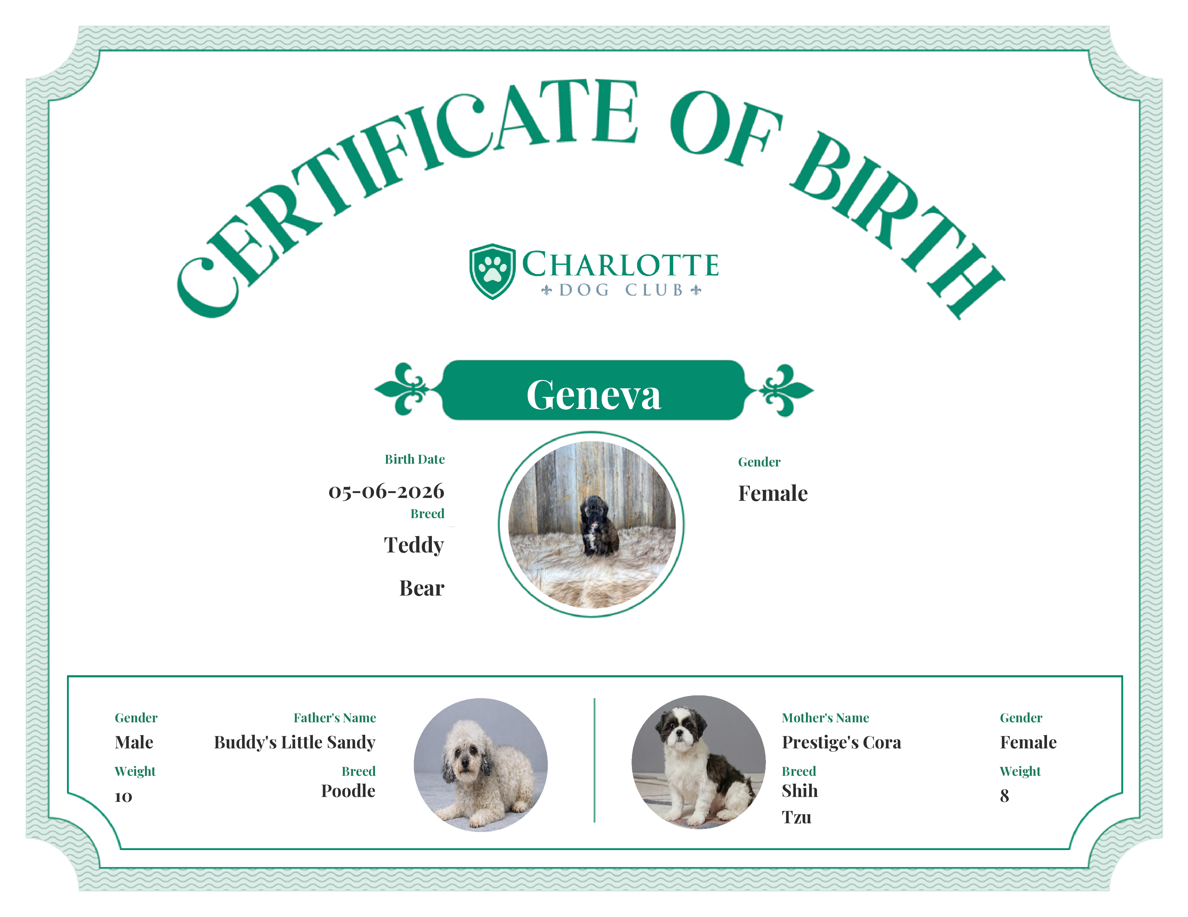Geneva's Birth Certificate