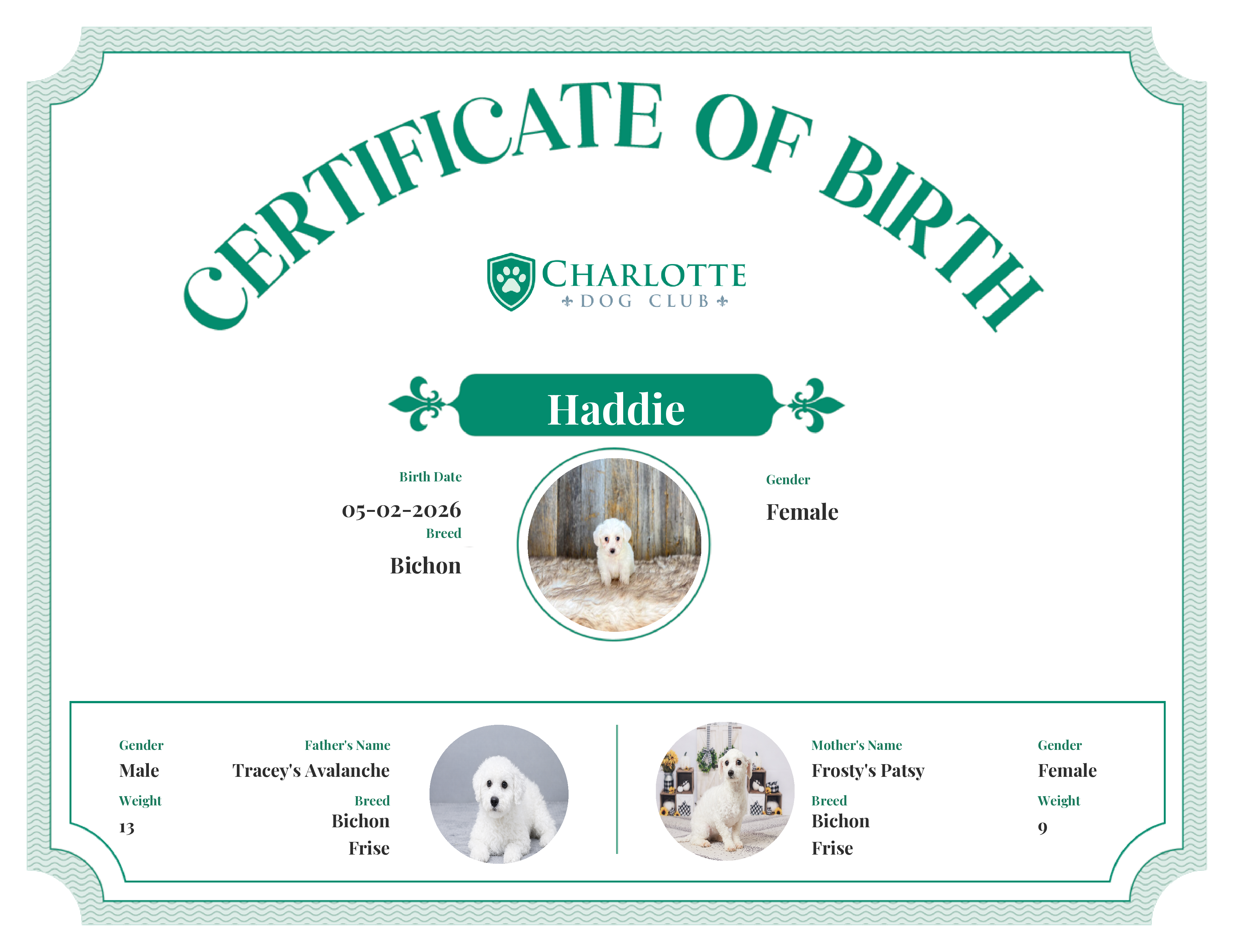 Haddie's Birth Certificate