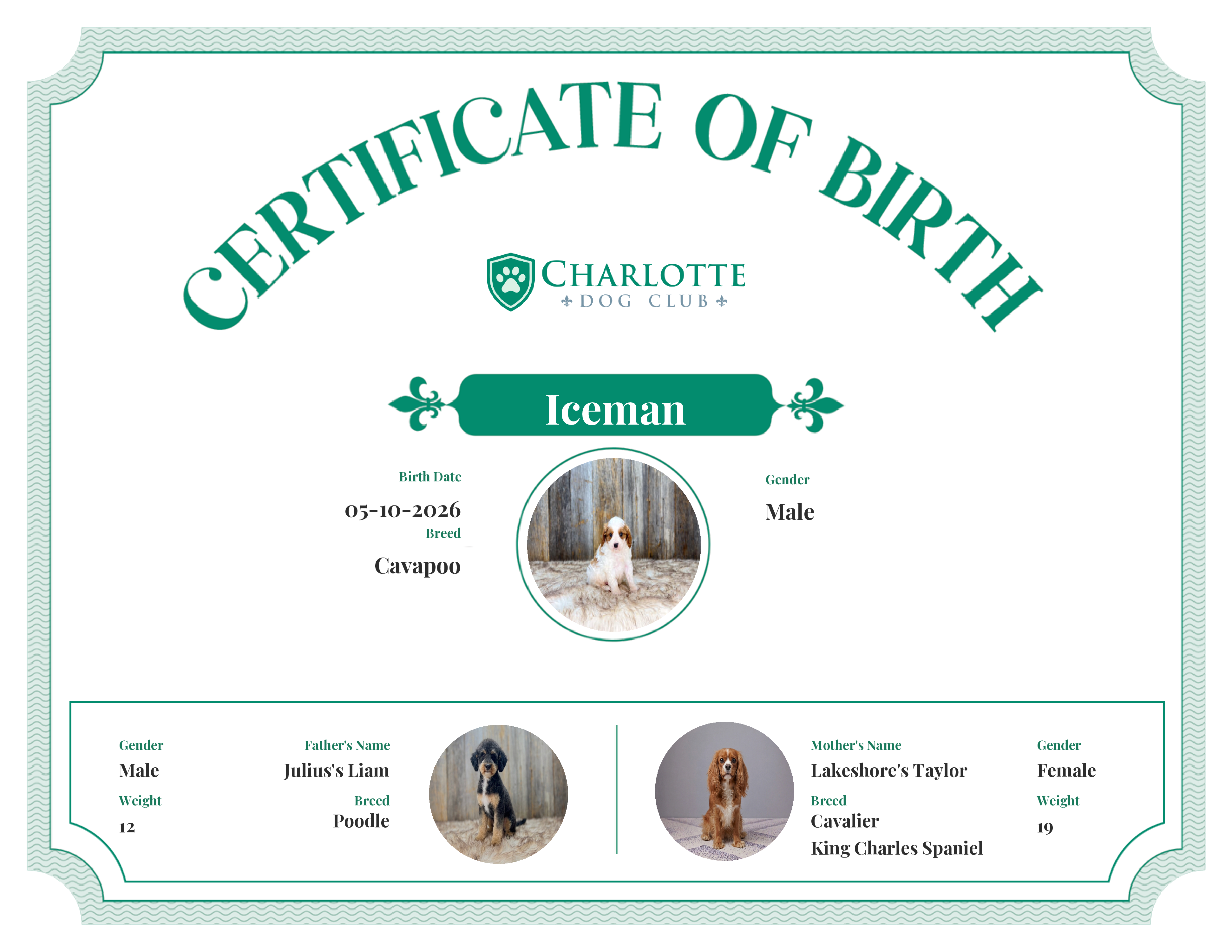Iceman's Birth Certificate