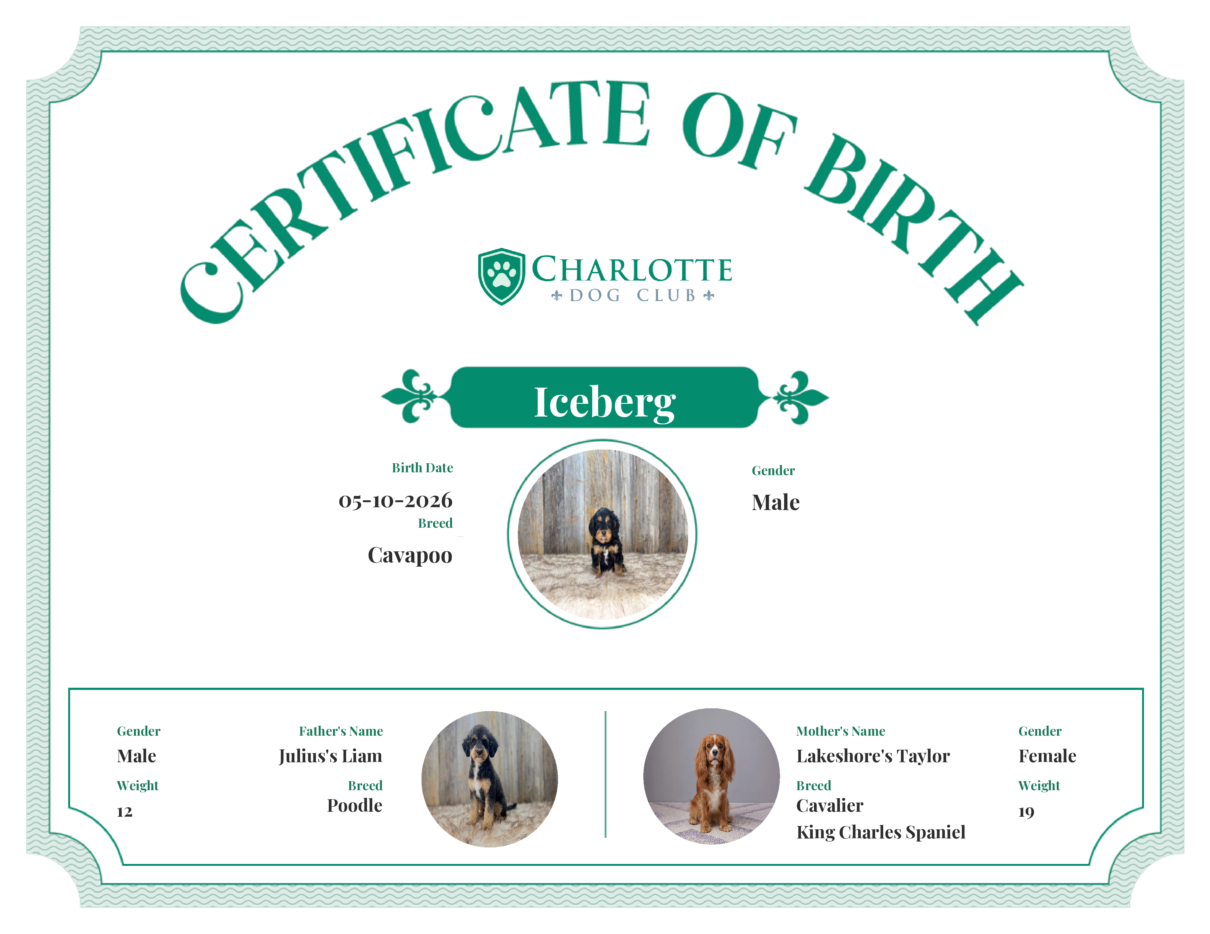 Iceberg's Birth Certificate