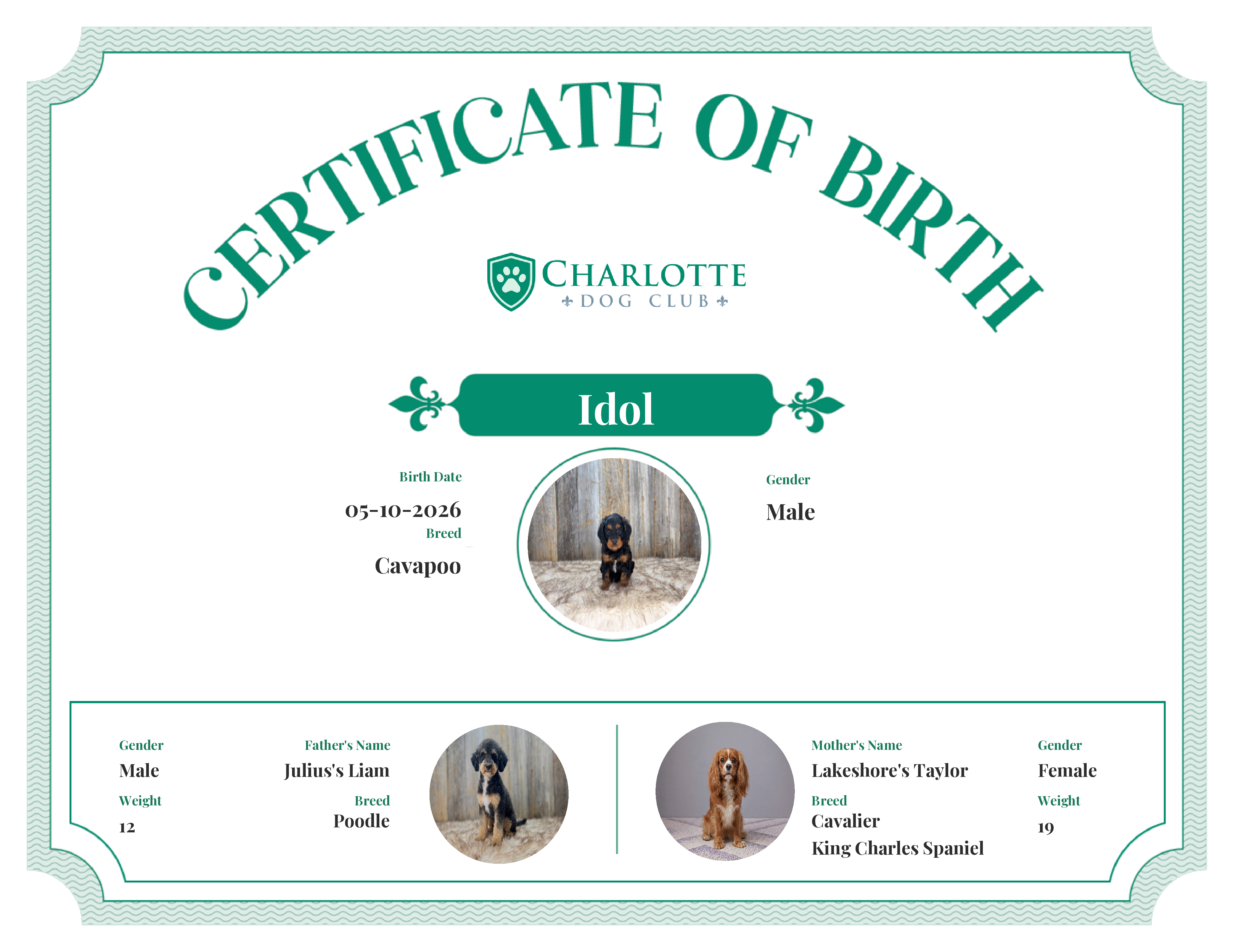 Idol's Birth Certificate