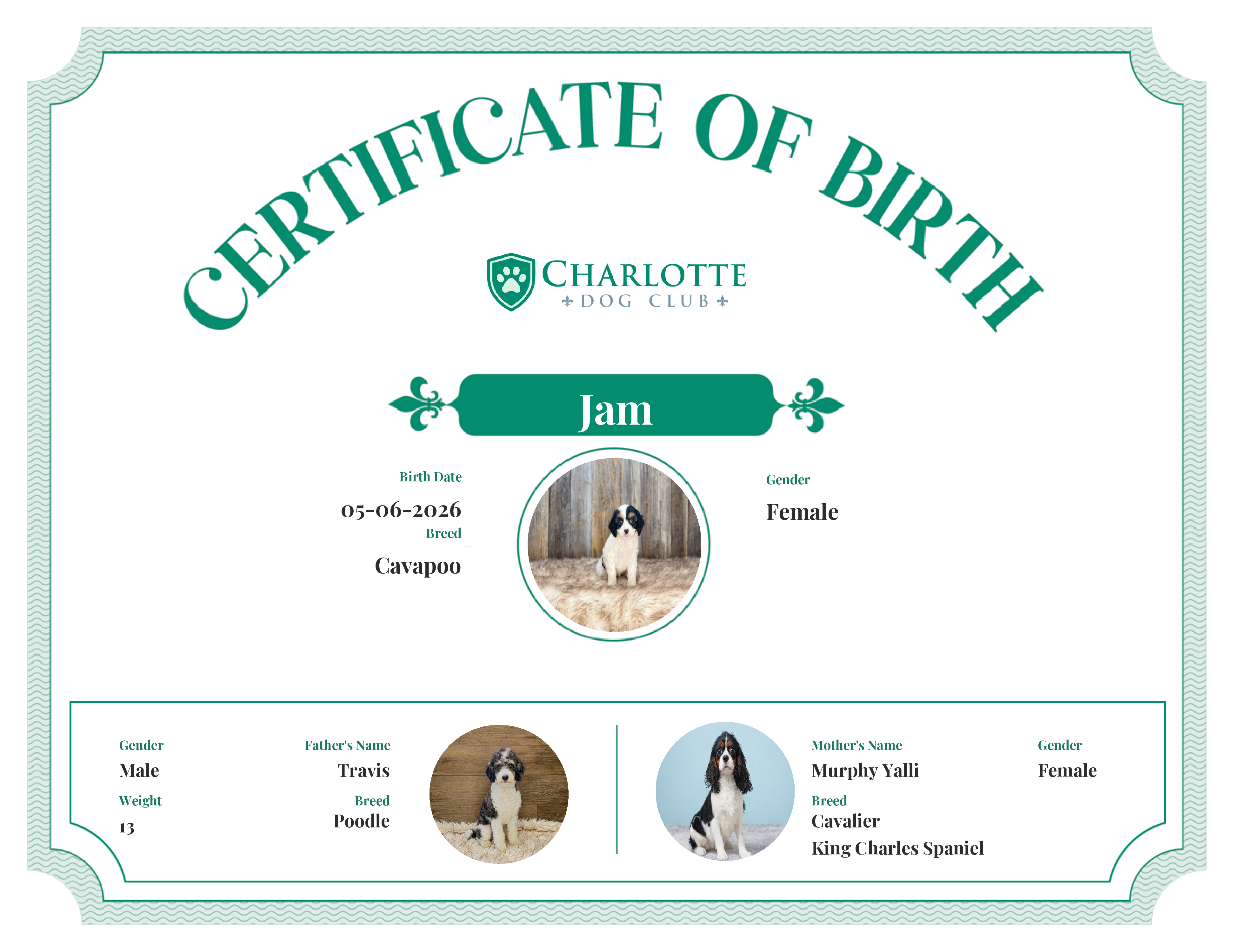 Jam's Birth Certificate